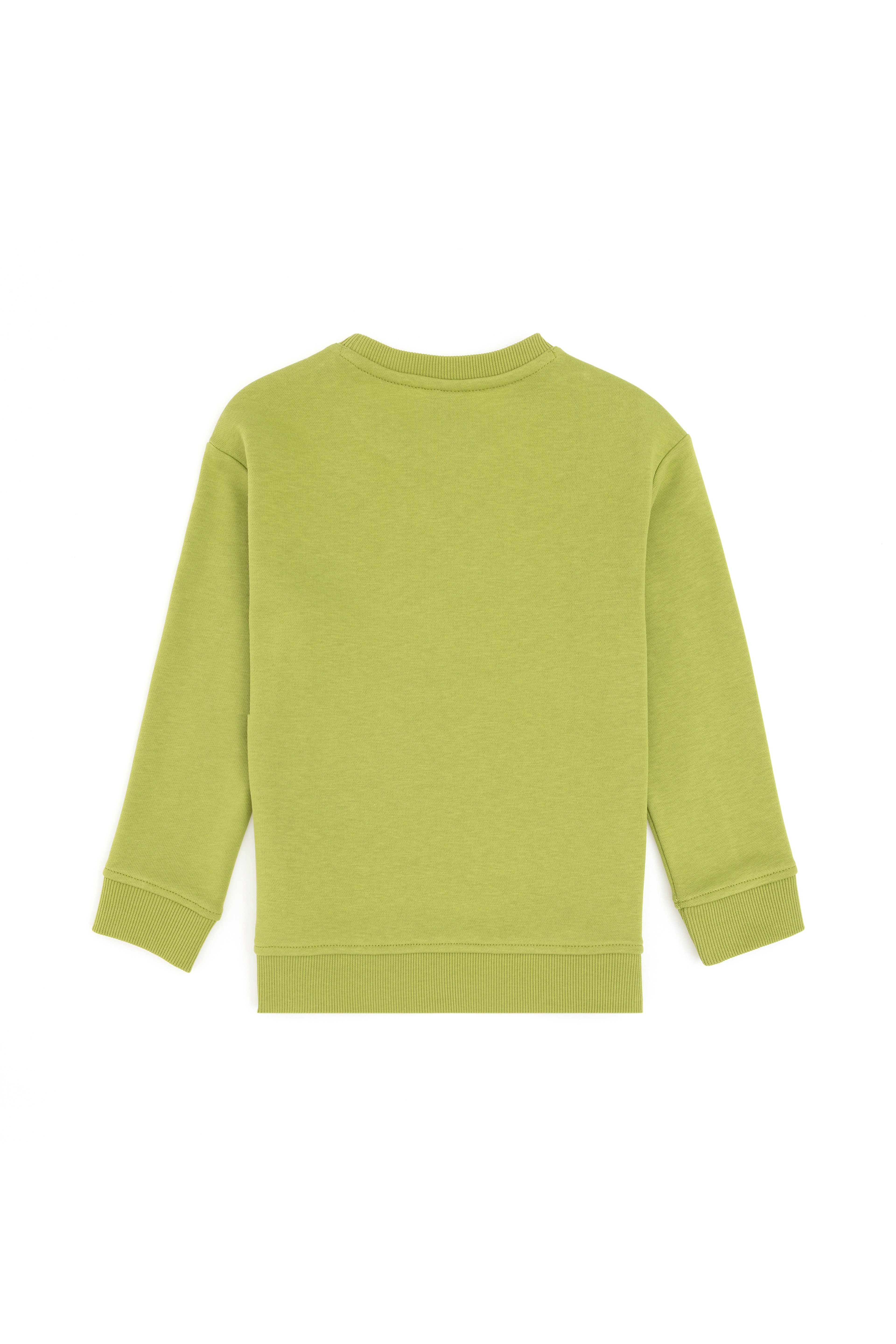 Erkek Çocuk Fıstık Yeşili Basic Bisiklet Yaka Sweatshirt - Image 2