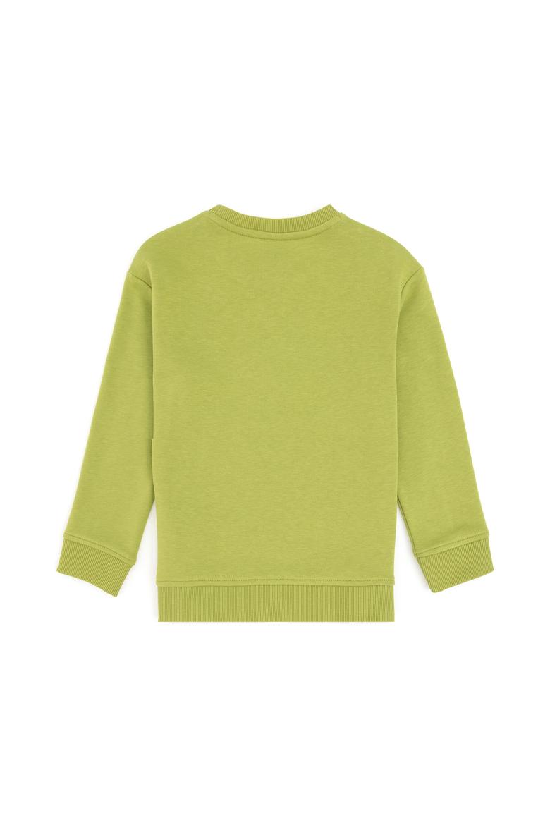 Erkek Çocuk Fıstık Yeşili Basic Bisiklet Yaka Sweatshirt - 50295151124
