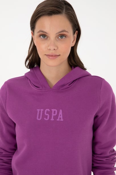 Kadın Menekşe Basic Kapüşonlu Sweatshirt