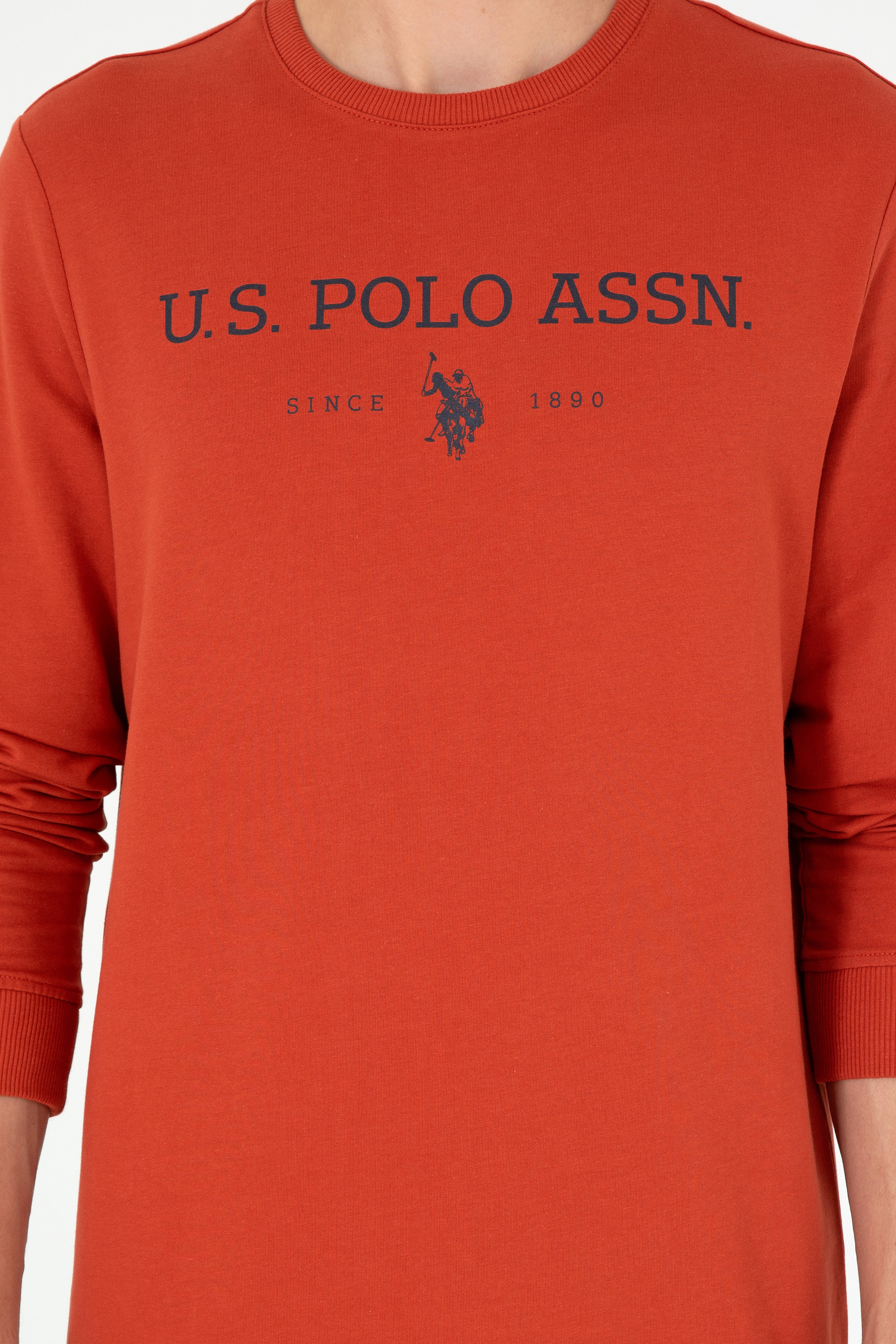 Erkek Kiremit Sweatshirt - Image 6