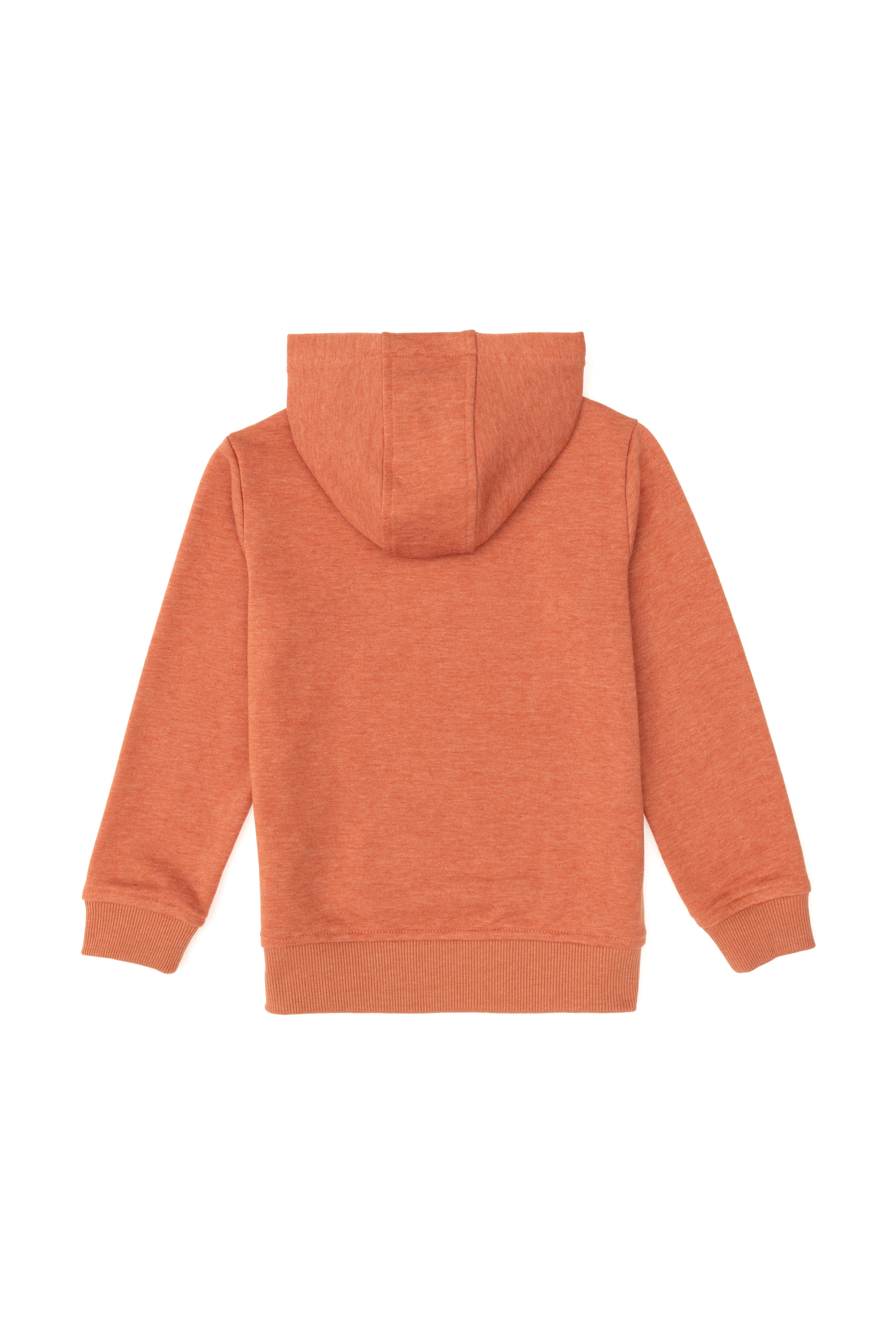 Erkek Çocuk Tarçın Basic Kapüşonlu Sweatshirt - Image 2
