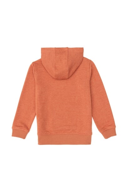 Erkek Çocuk Tarçın Basic Kapüşonlu Sweatshirt