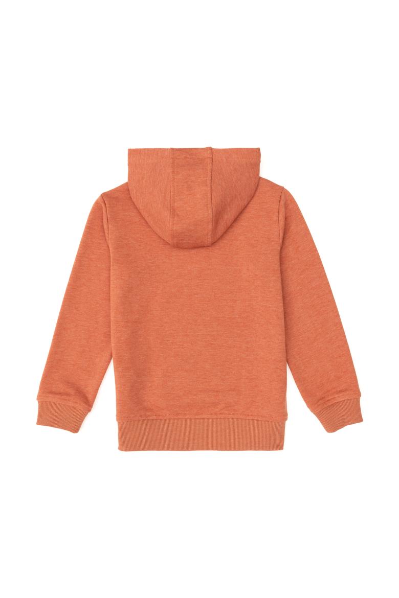 Erkek Çocuk Tarçın Basic Kapüşonlu Sweatshirt - 50293614080