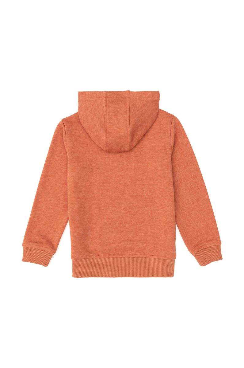 Erkek Çocuk Tarçın Basic Kapüşonlu Sweatshirt