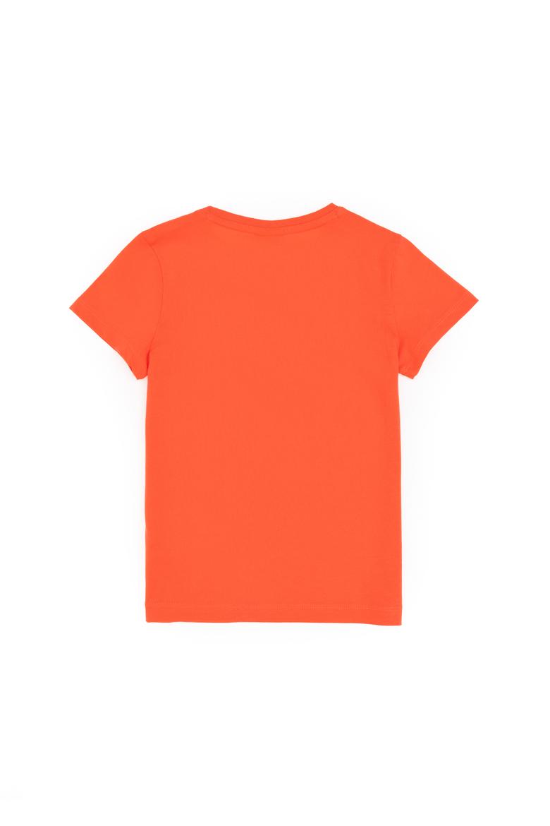 Erkek Çocuk Nar Çiçeği Basic Bisiklet Yaka Tişört - 50279614119