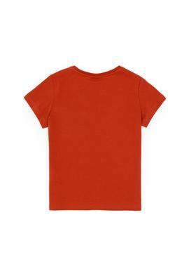 Erkek Çocuk Kiremit Bisiklet Yaka Tişört - 50298096031