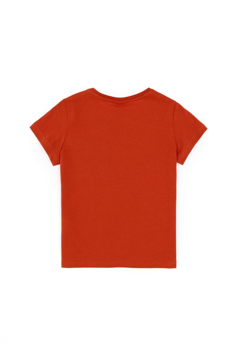 Erkek Çocuk Kiremit Bisiklet Yaka Tişört - 50298096031