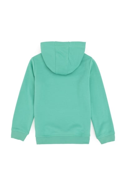 Erkek Çocuk Mint Basic Kapüşonlu Sweatshirt