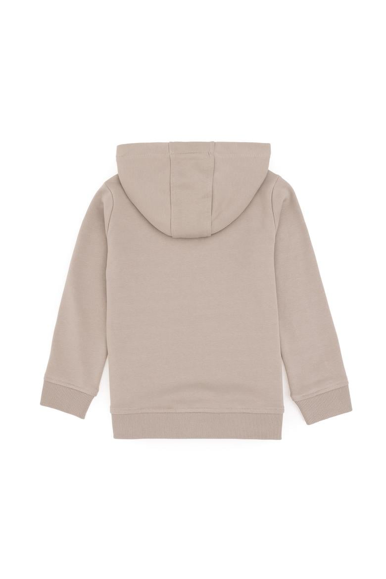 Erkek Çocuk Taş Basic Kapüşonlu Sweatshirt - 50289134005
