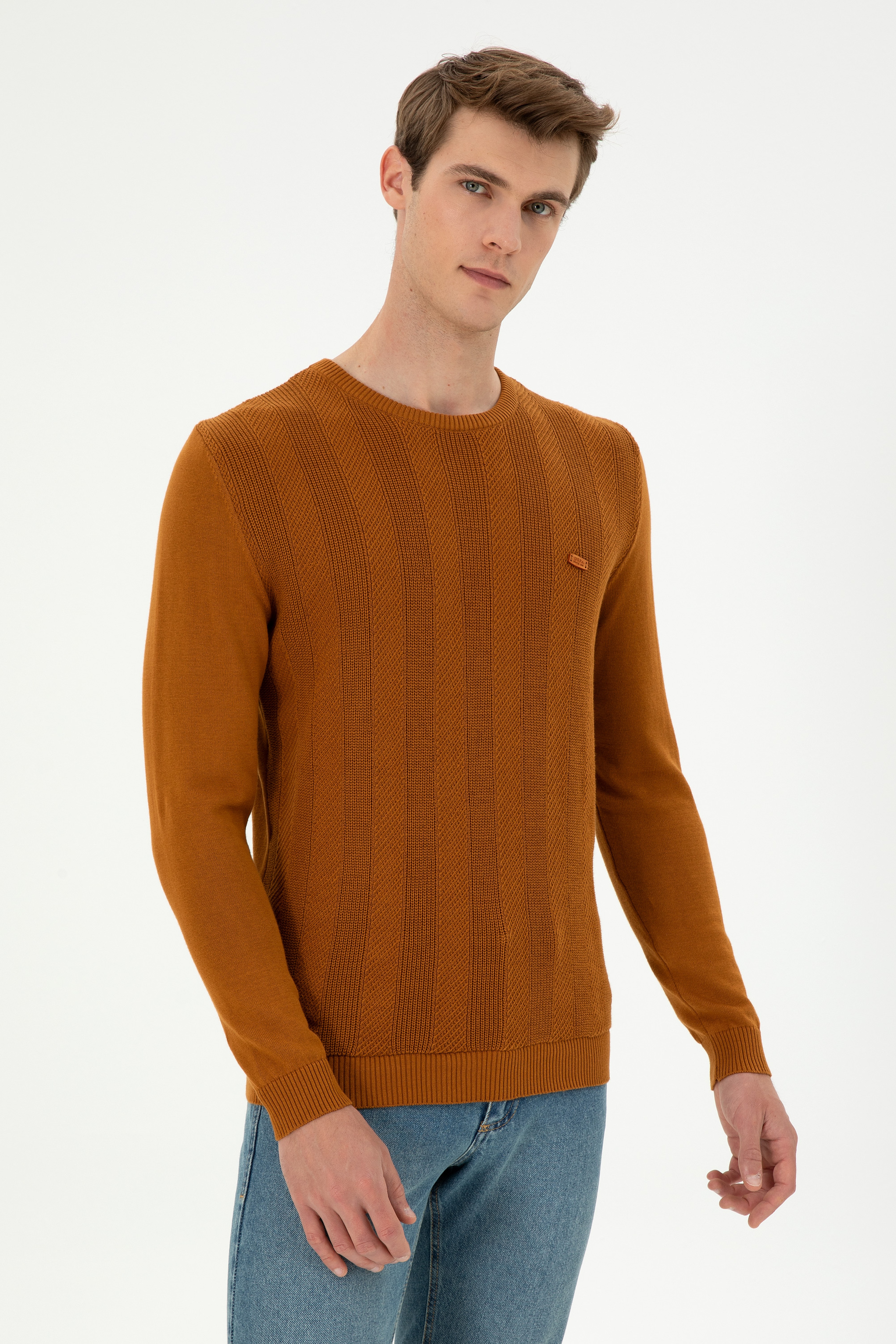 Erkek Slim Fit Bisiklet Yaka Coconut Kazak - Image 1