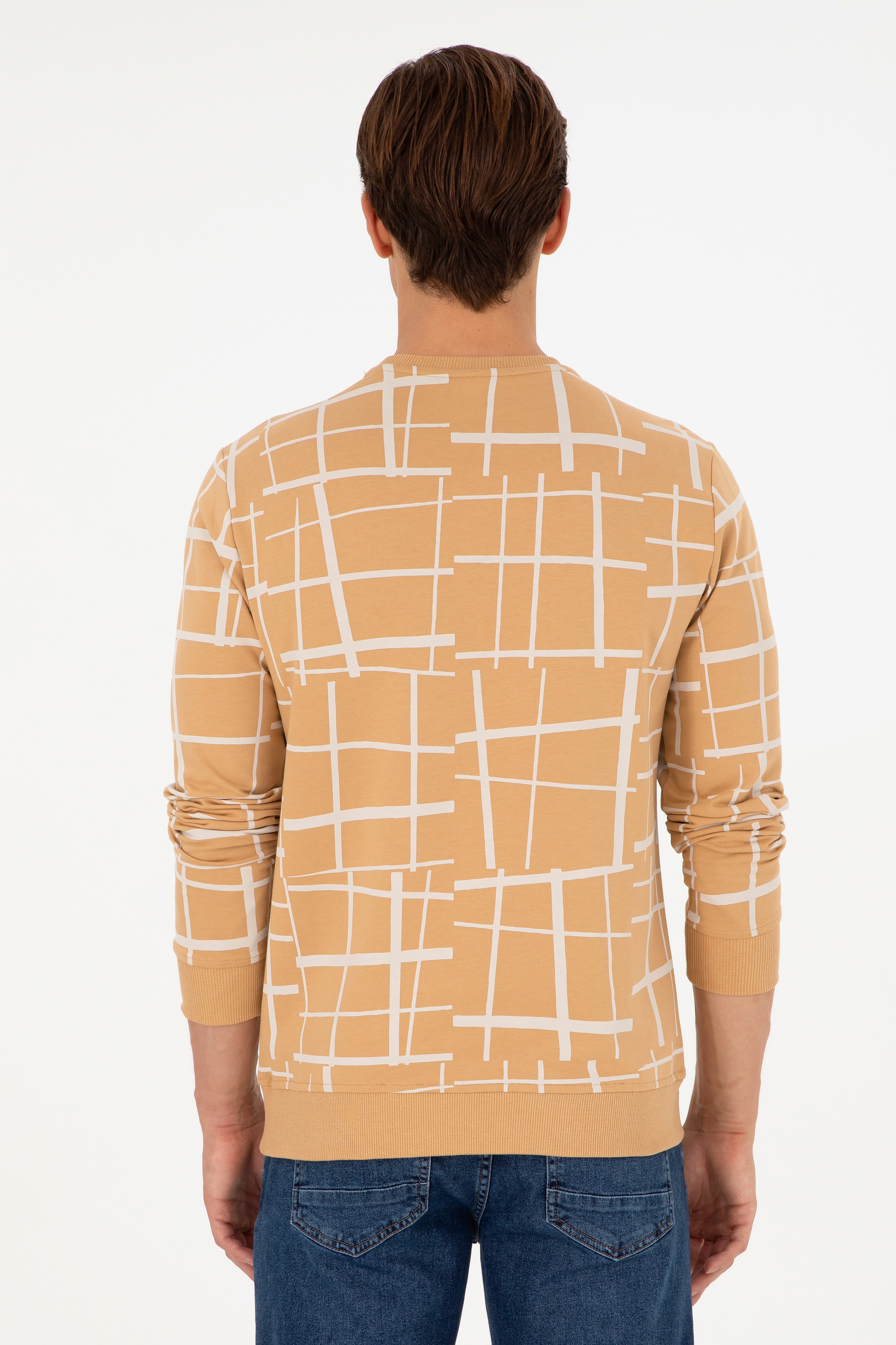 Erkek Regular Fit Bisiklet Yaka Camel Sweatshirt
