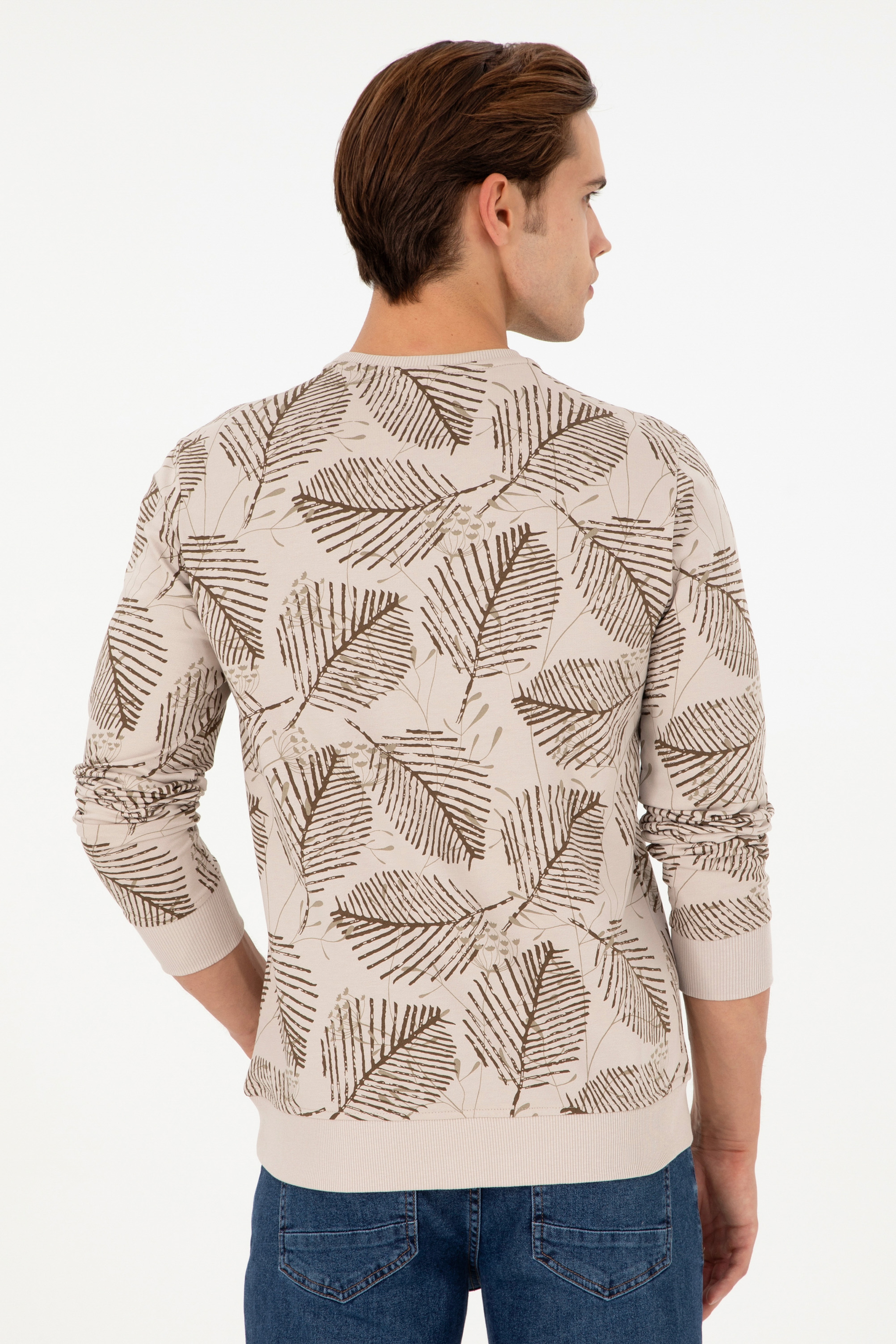Erkek Regular Fit Bisiklet Yaka Camel Sweatshirt - Image 5