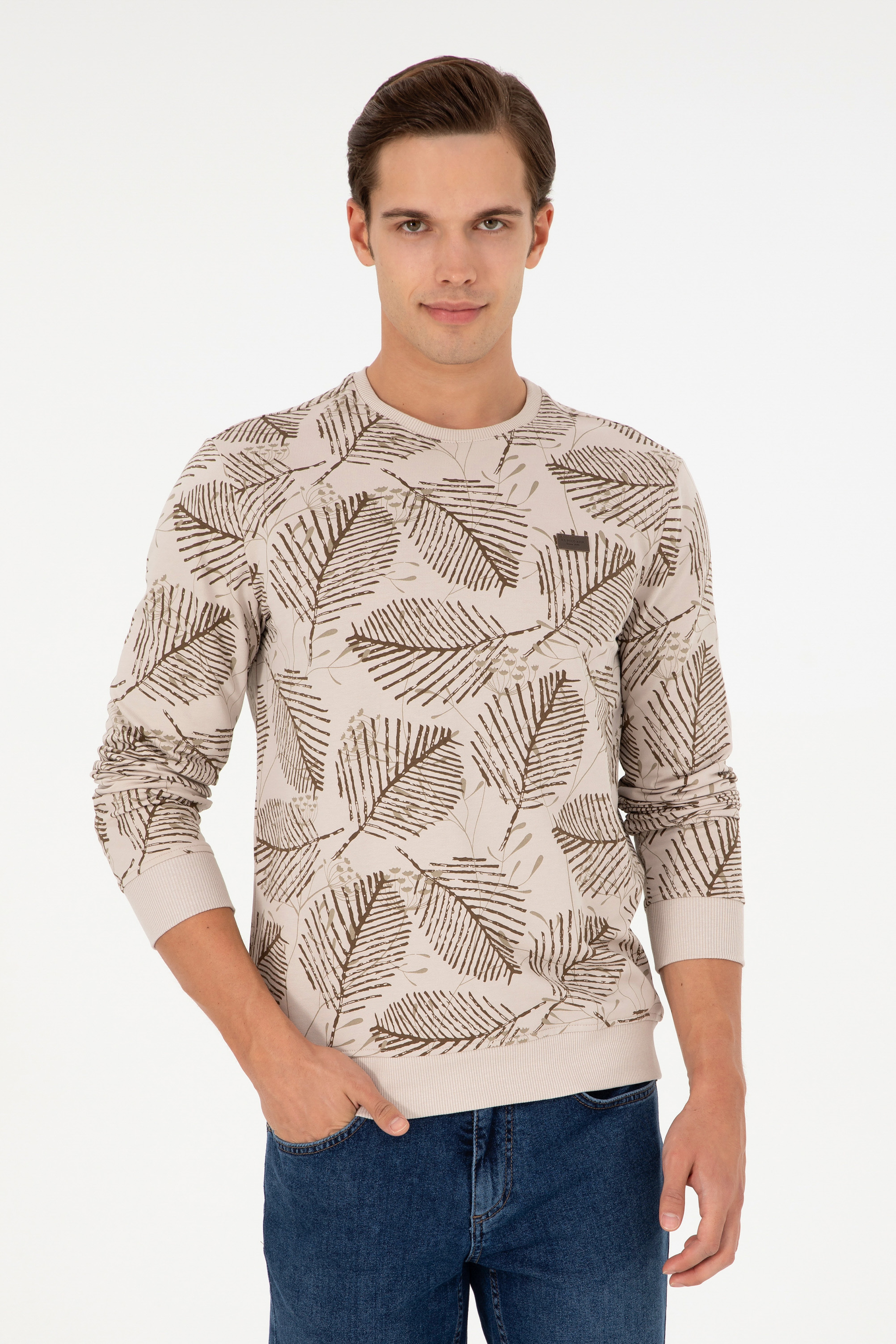 Erkek Regular Fit Bisiklet Yaka Camel Sweatshirt - Image 1