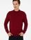 Erkek Slim Fit Çeyrek Balıkçı Yaka Bordo Basic Triko Kazak