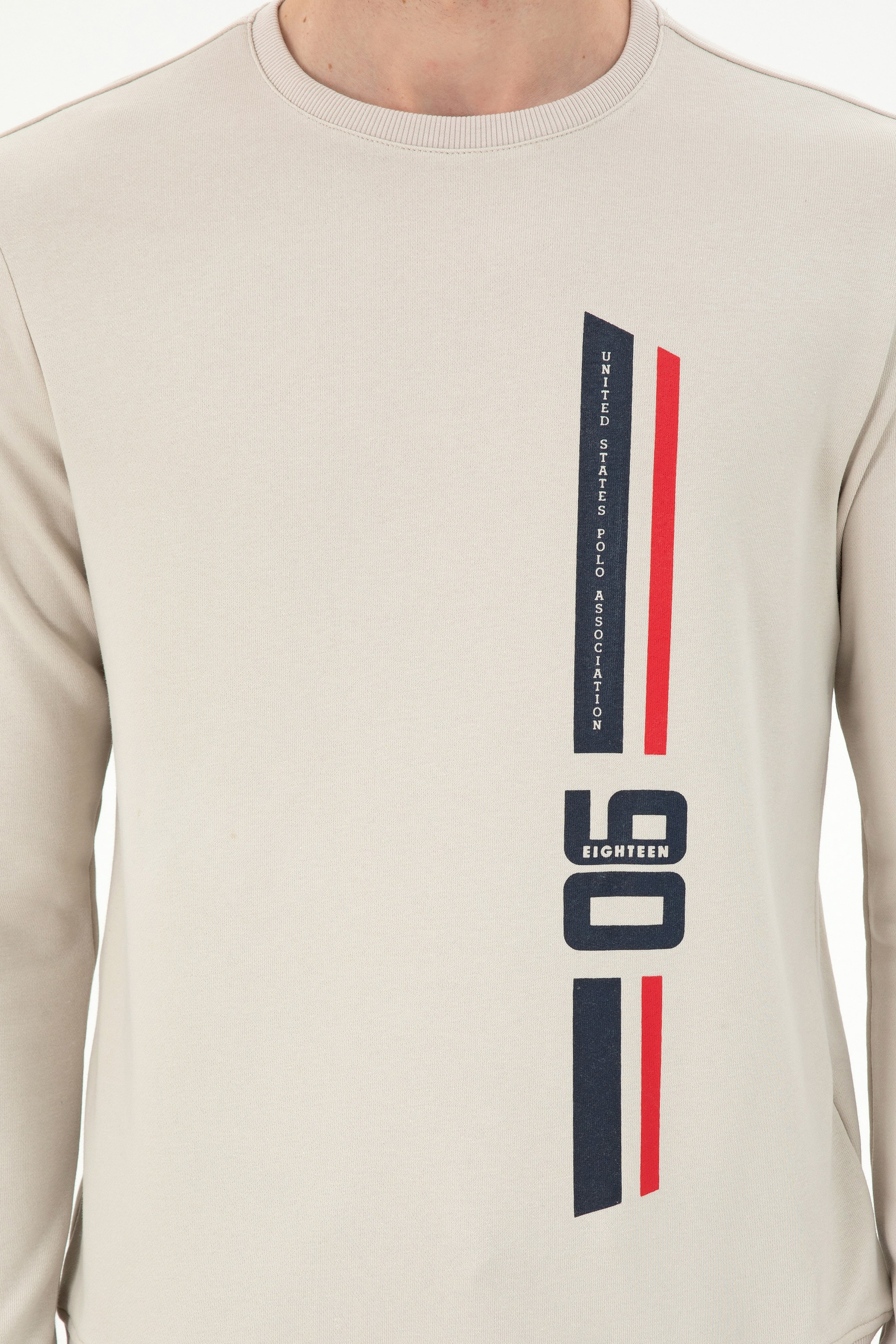 Erkek Regular Fit Bisiklet Yaka Taş Sweatshirt - Image 6