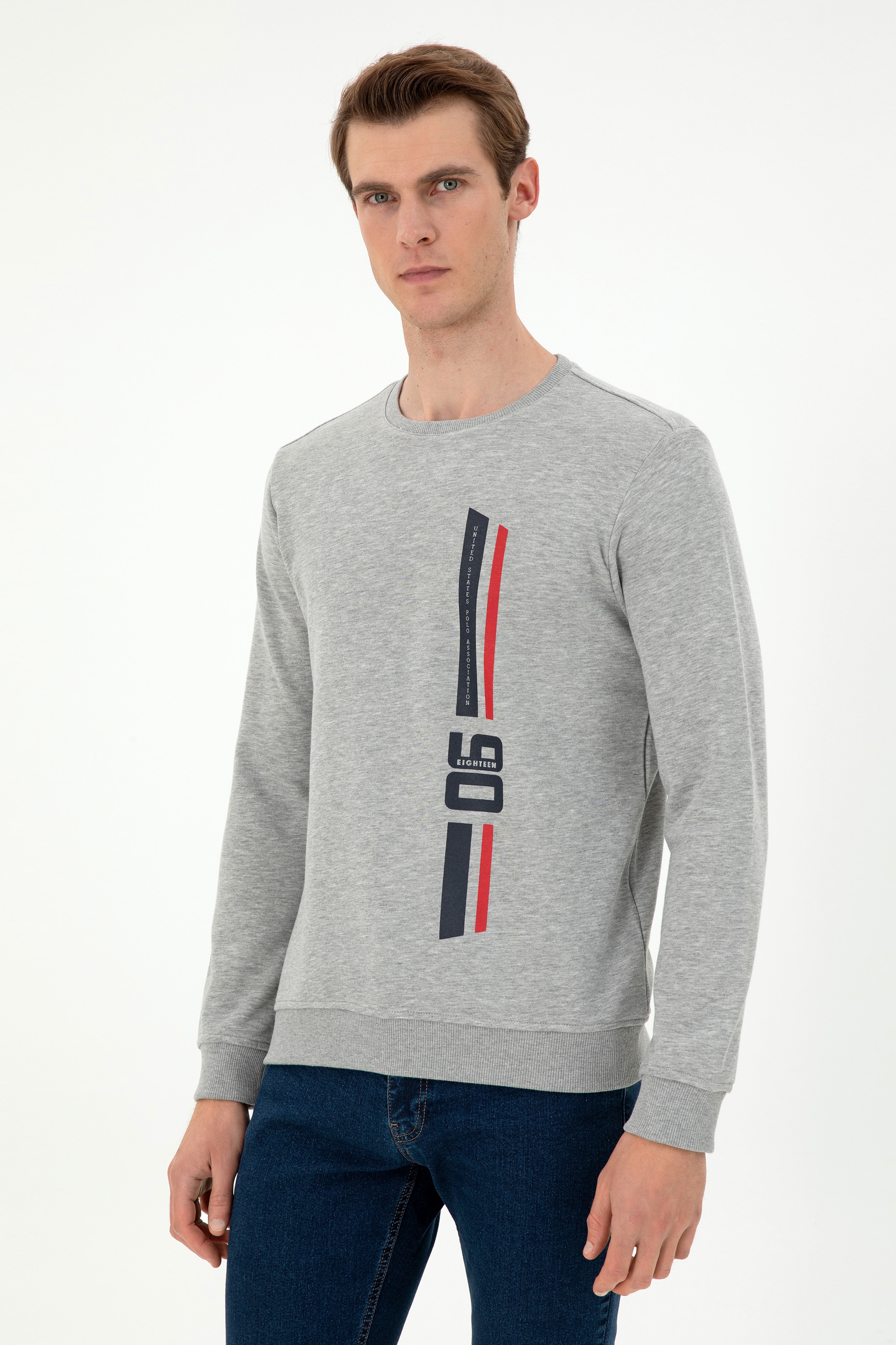 Erkek Regular Fit Bisiklet Yaka Gri Melanj Sweatshirt
