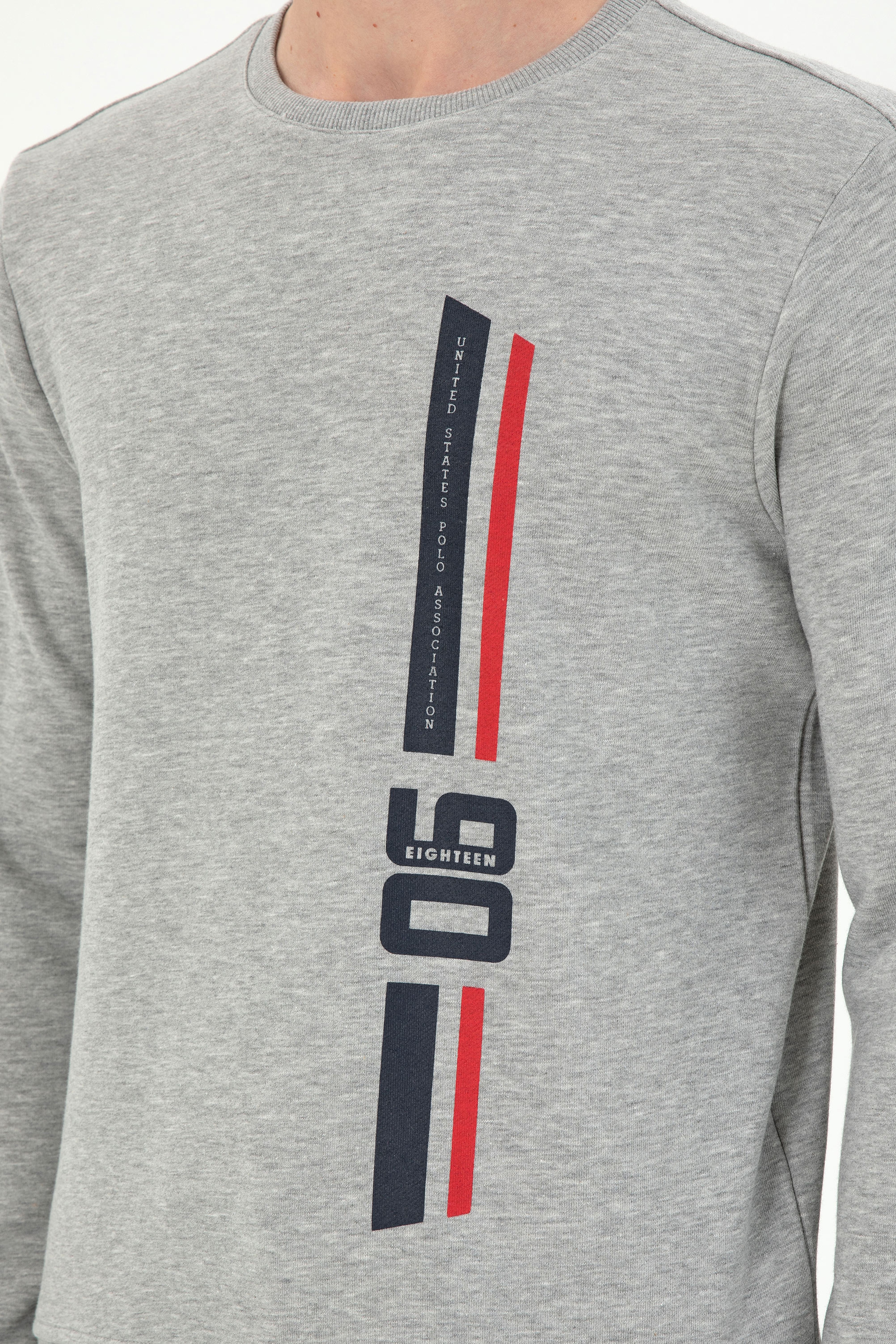 Erkek Regular Fit Bisiklet Yaka Gri Melanj Sweatshirt - Image 7