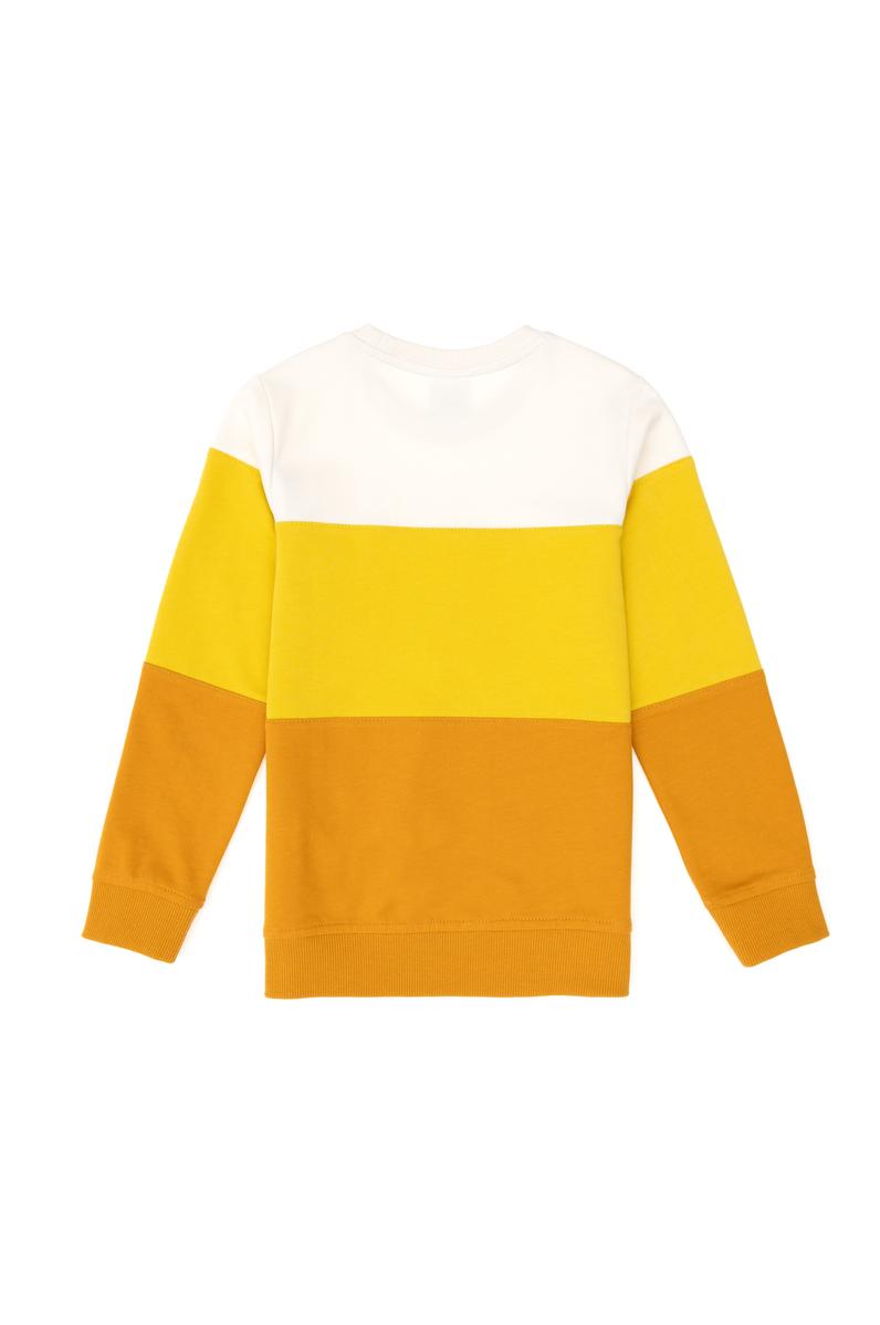 Erkek Çocuk Hardal Bisiklet Yaka Sweatshirt