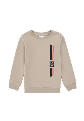 Erkek Çocuk Taş Bisiklet Yaka Sweatshirt - 50293546024