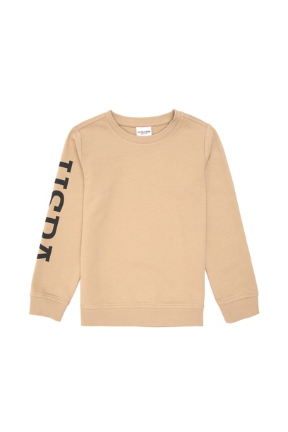 Erkek Çocuk Kum Basic Bisiklet Yaka Sweatshirt