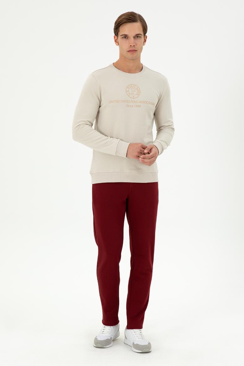 Erkek Regular Fit Bisiklet Yaka Taş Sweatshirt - 50293424001