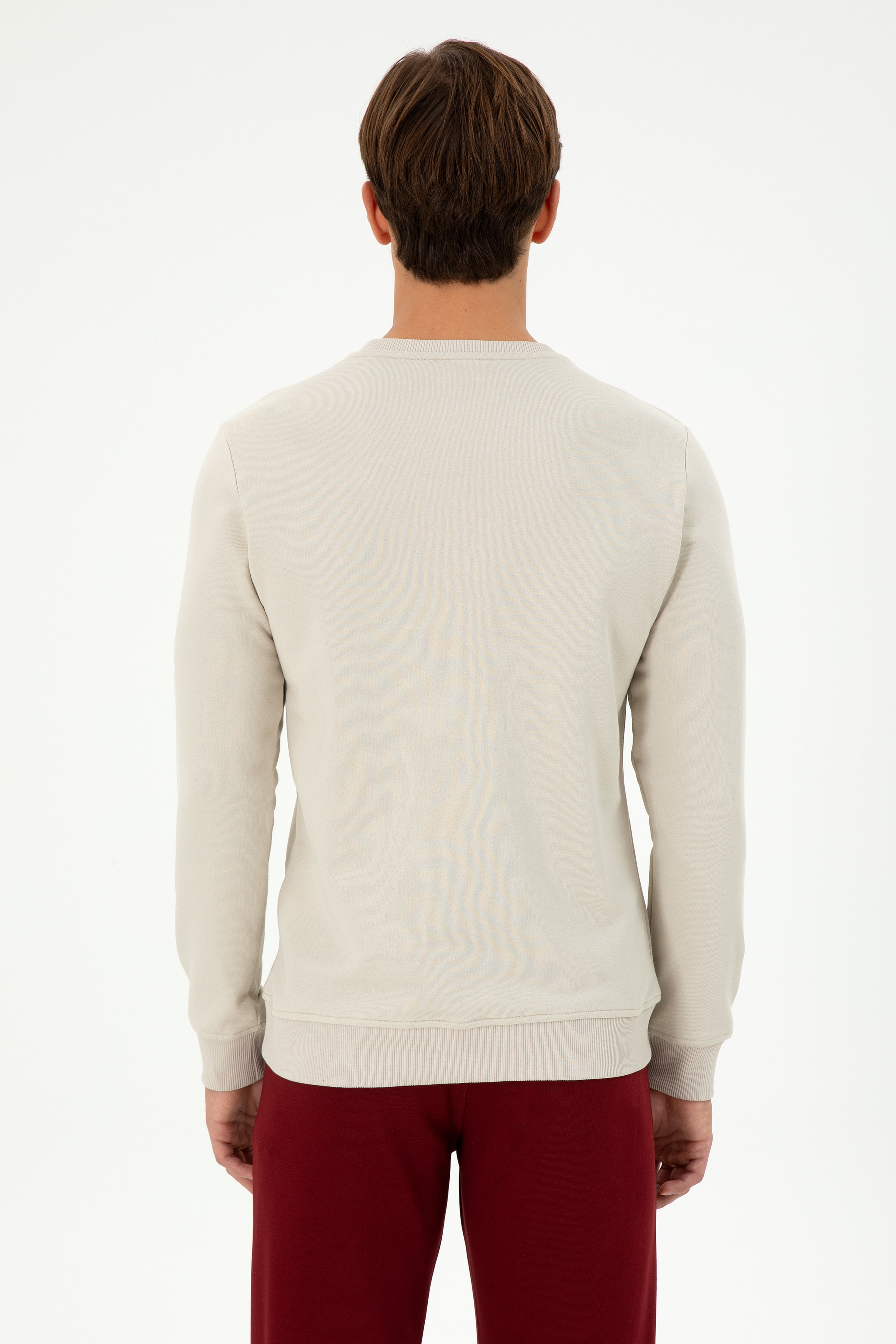 Erkek Regular Fit Bisiklet Yaka Taş Sweatshirt