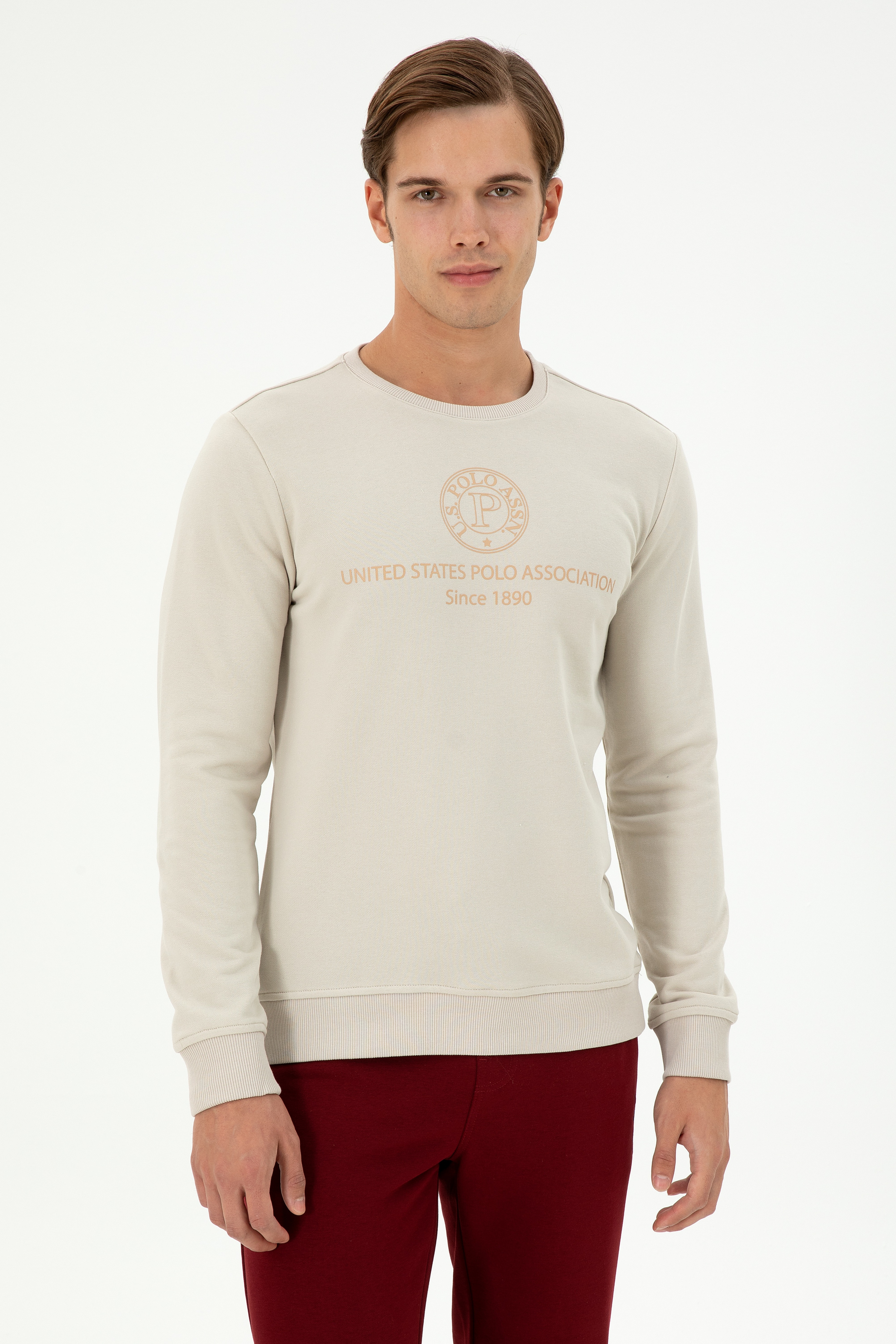 Erkek Regular Fit Bisiklet Yaka Taş Sweatshirt