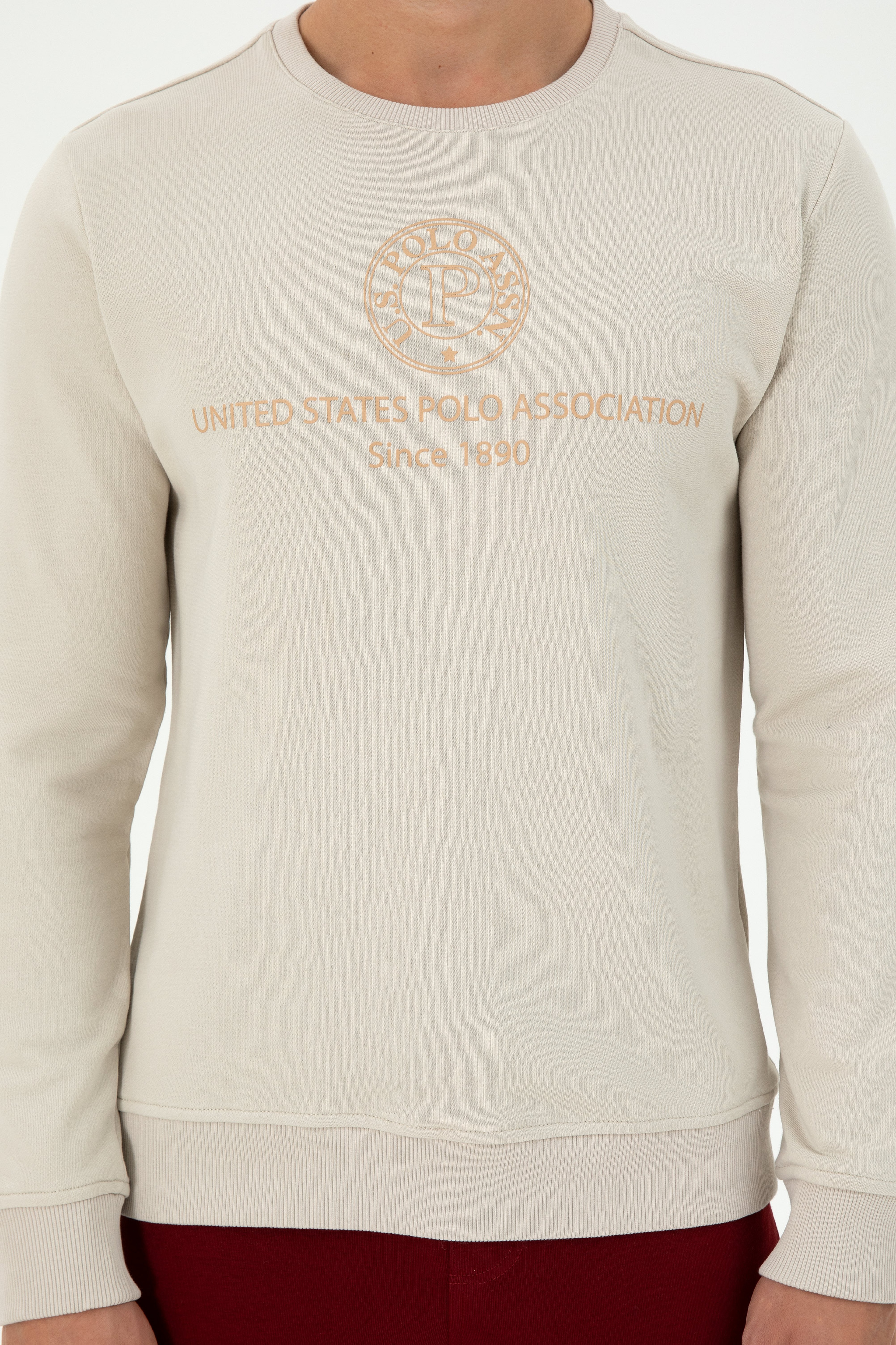 Erkek Regular Fit Bisiklet Yaka Taş Sweatshirt - Image 6