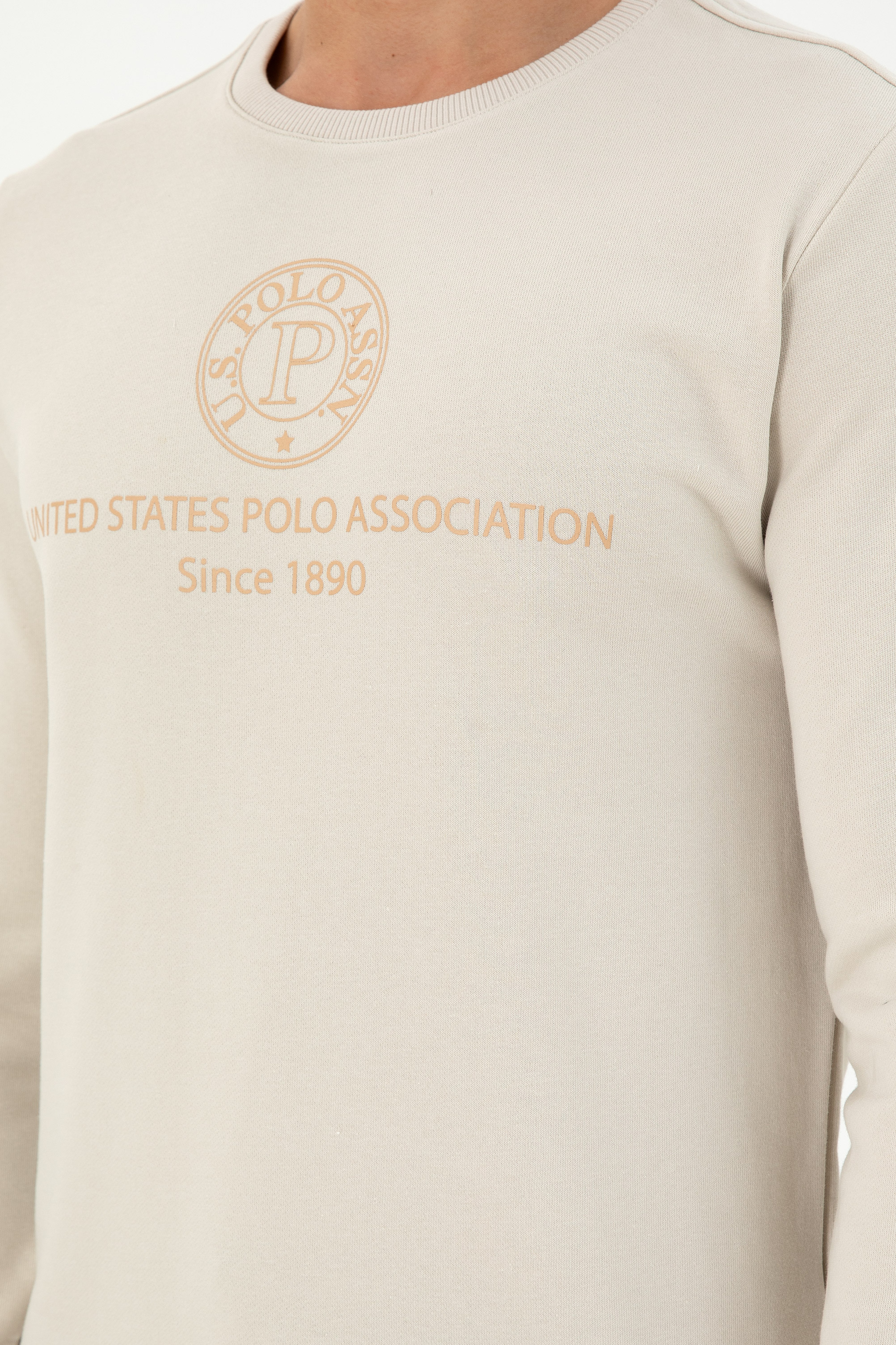 Erkek Regular Fit Bisiklet Yaka Taş Sweatshirt - Image 7