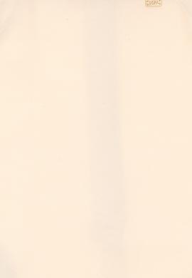 Kız Çocuk Ekru Dokuma Elbise - 50282954020