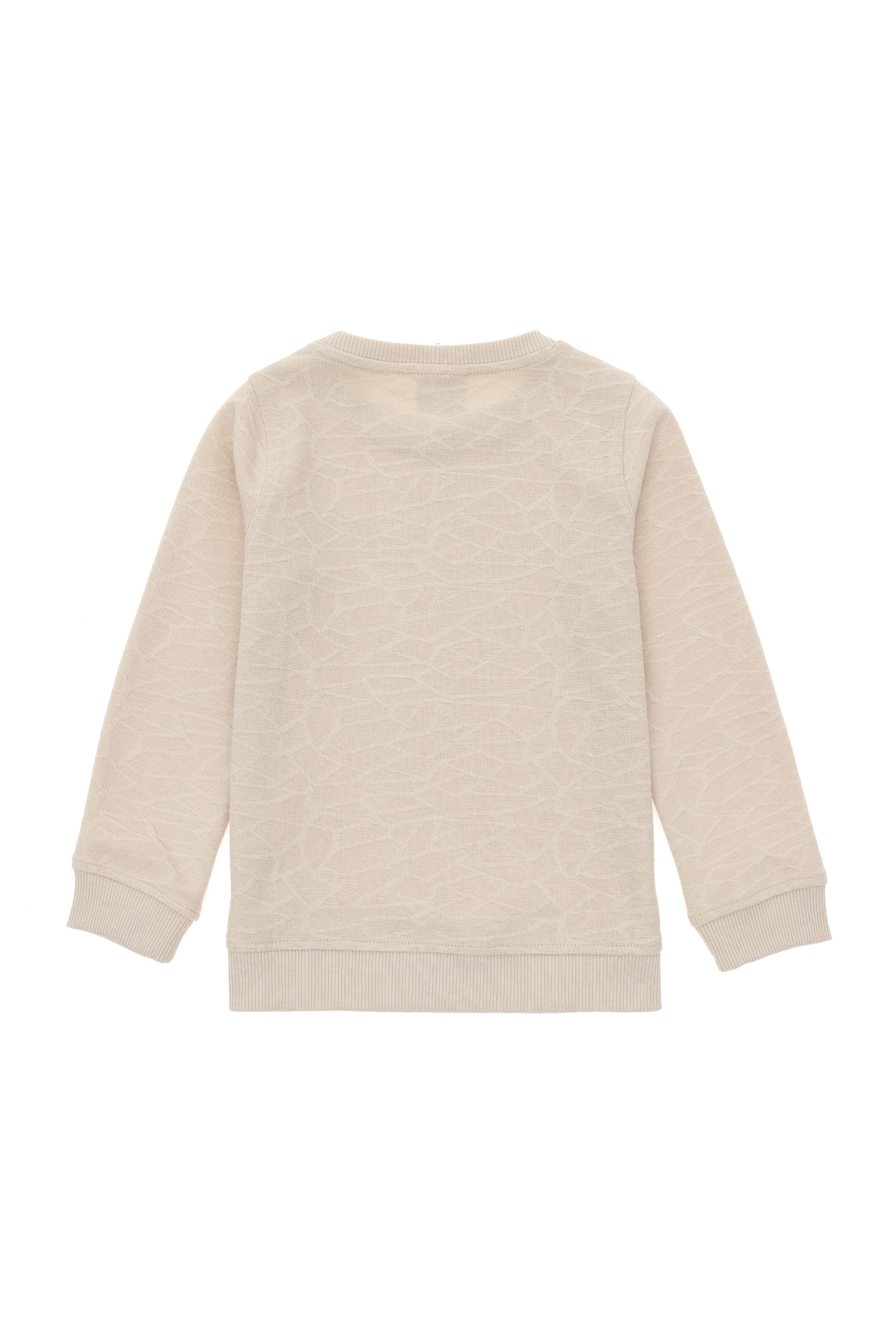 Erkek Çocuk Taş Bisiklet Yaka Sweatshirt