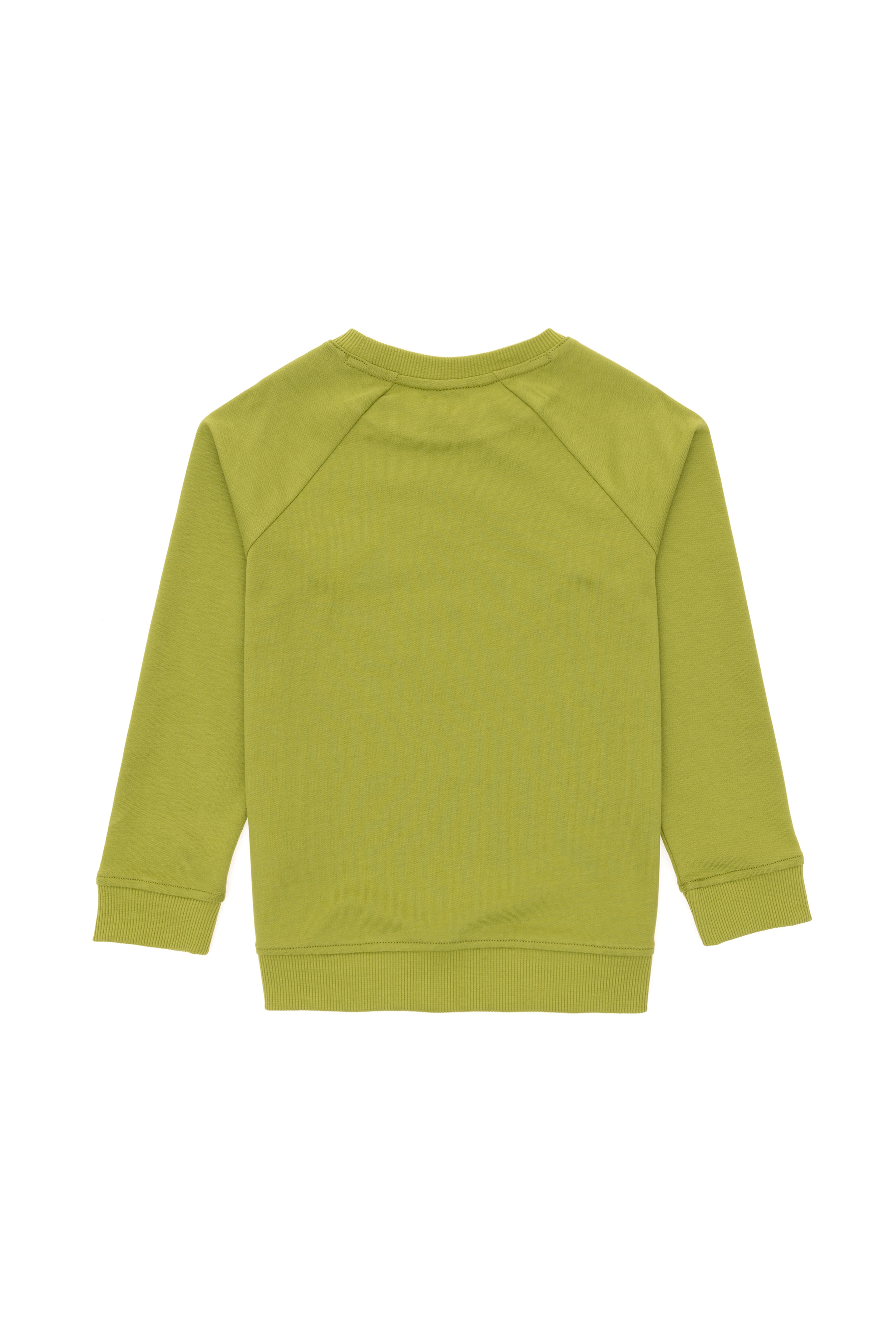 Erkek Çocuk Fıstık Yeşili Basic Bisiklet Yaka Sweatshirt - Image 2