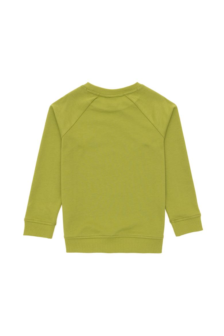 Erkek Çocuk Fıstık Yeşili Basic Bisiklet Yaka Sweatshirt - 50293633085