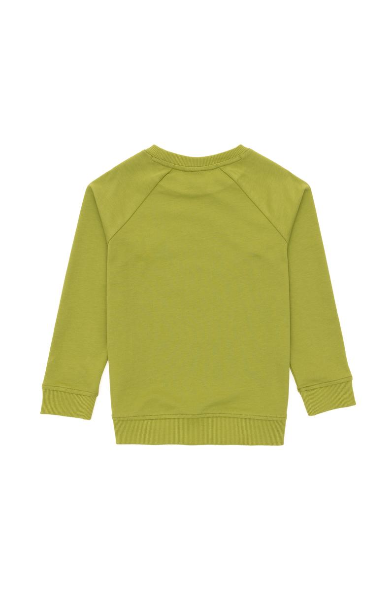 Erkek Çocuk Fıstık Yeşili Basic Bisiklet Yaka Sweatshirt