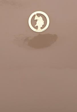 Kadın Vizon Rugan Kol Çantası - 50300337002