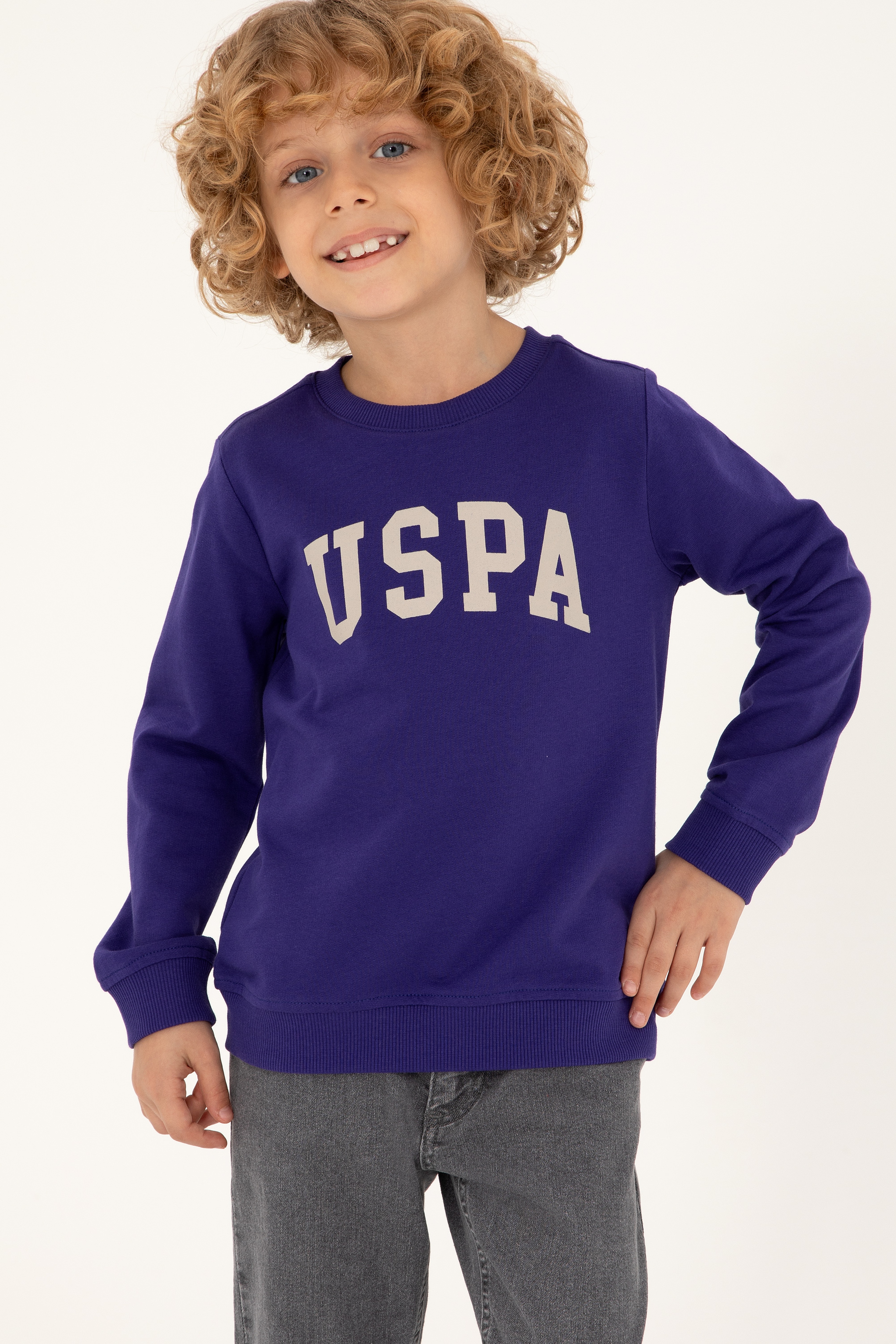 Erkek Çocuk Mor Basic Bisiklet Yaka Sweatshirt - Image 1