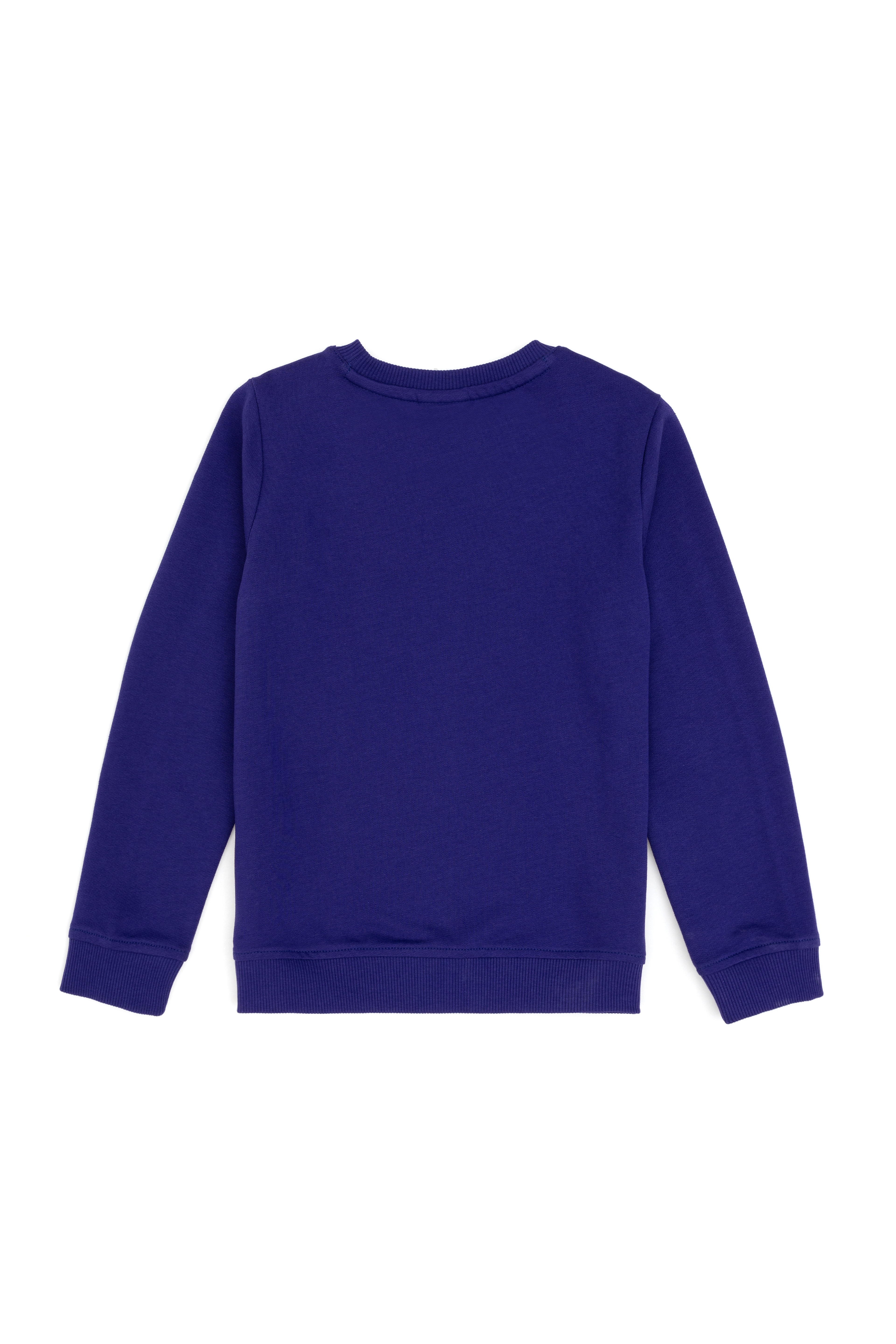 Erkek Çocuk Mor Basic Bisiklet Yaka Sweatshirt