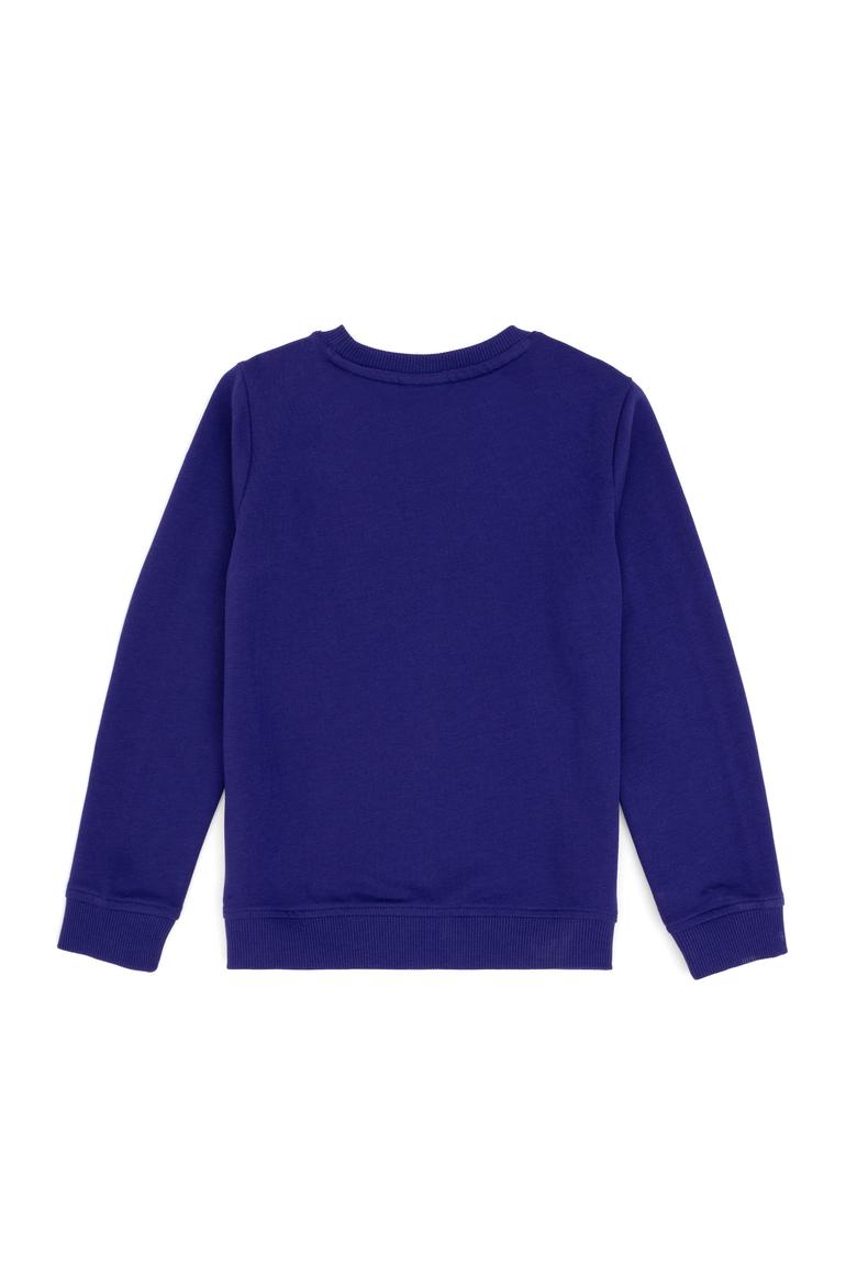 Erkek Çocuk Mor Basic Bisiklet Yaka Sweatshirt - 50293474134