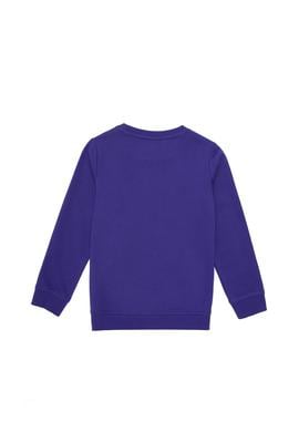 Erkek Çocuk Mor Bisiklet Yaka Sweatshirt - 50293617014