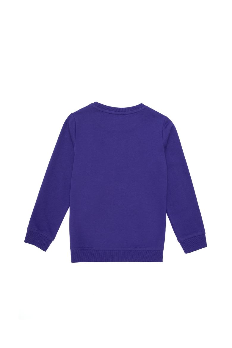 Erkek Çocuk Mor Bisiklet Yaka Sweatshirt - 50293617014