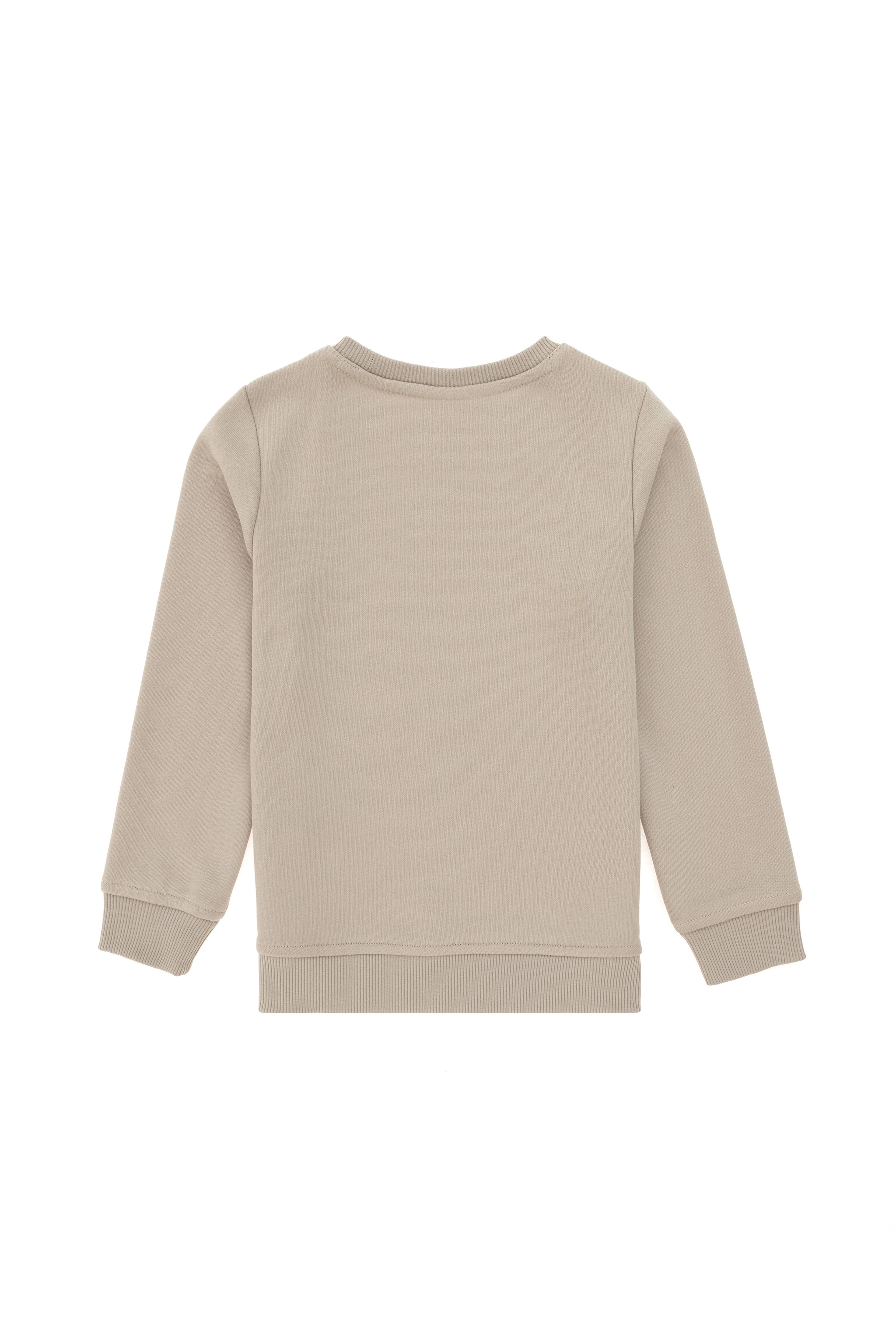 Erkek Çocuk Taş Bisiklet Yaka Sweatshirt