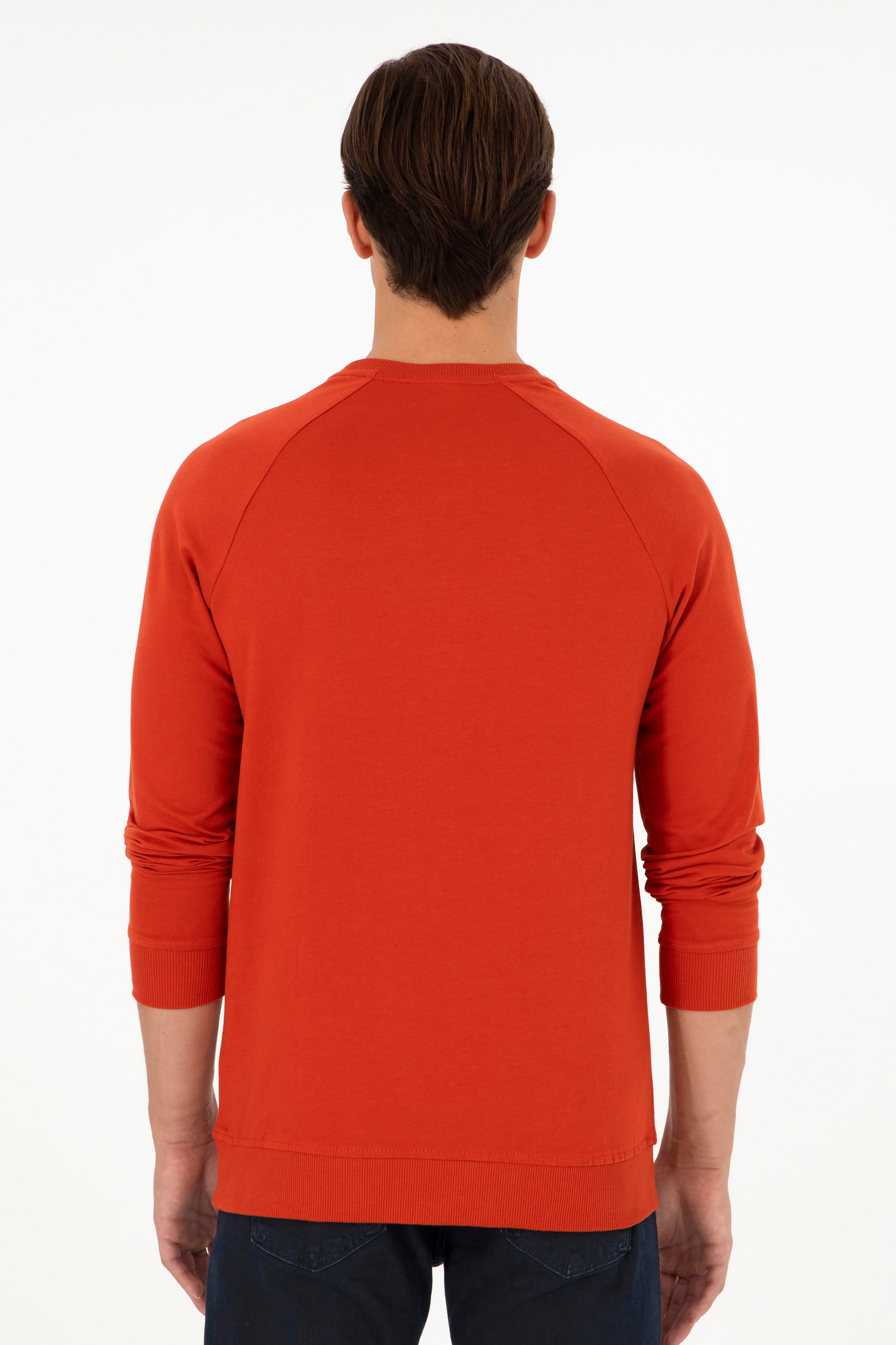 Erkek Kiremit Basic Sweatshirt - Image 5