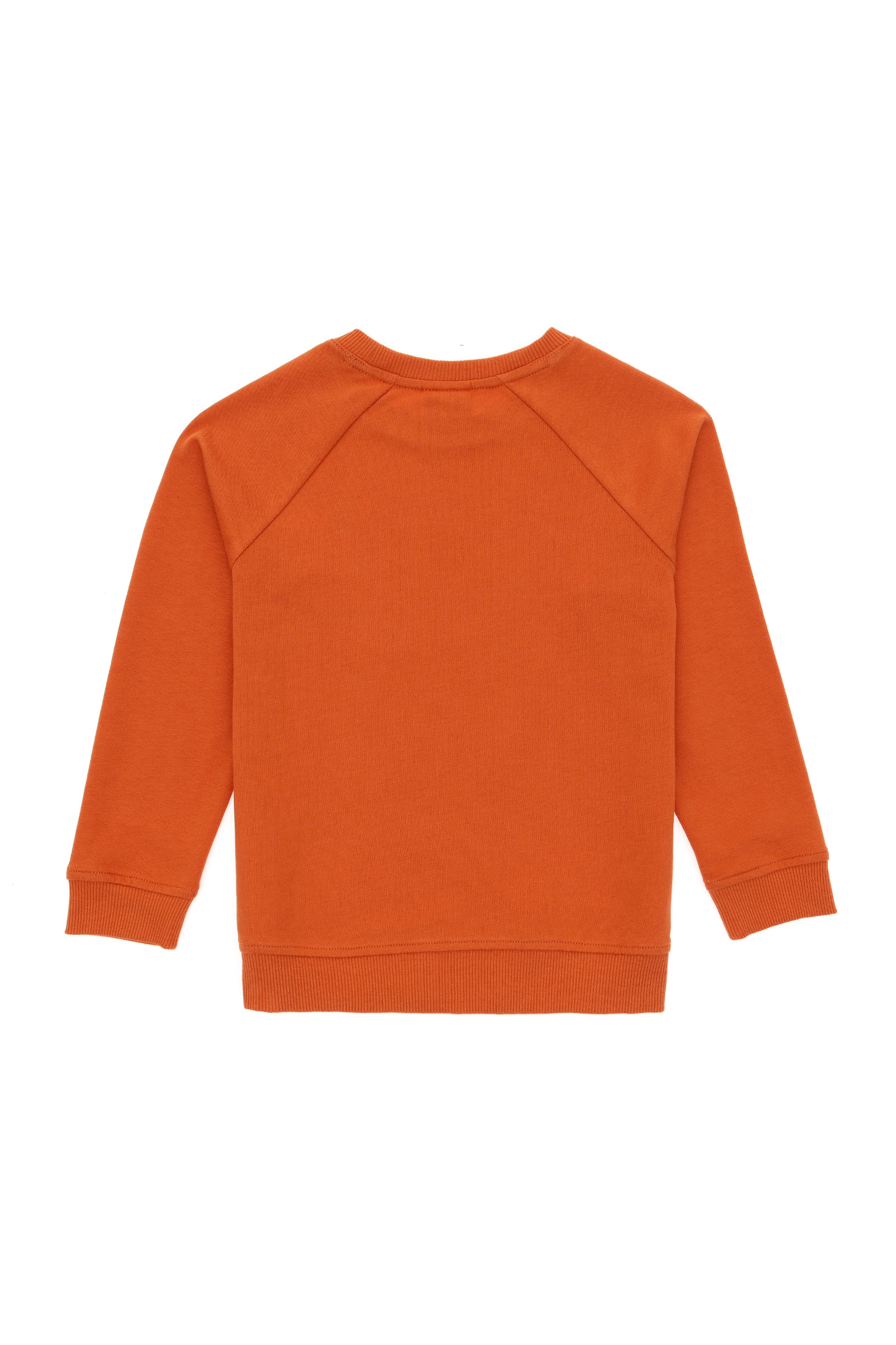 Erkek Çocuk Tarçın Basic Bisiklet Yaka Sweatshirt - Image 2