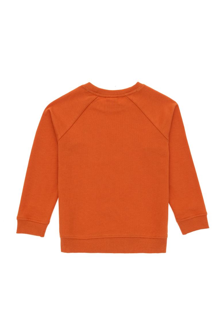 Erkek Çocuk Tarçın Basic Bisiklet Yaka Sweatshirt - 50293633067