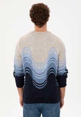 Erkek Regular Fit Bisiklet Yaka Lacivert Kazak - 50293044018