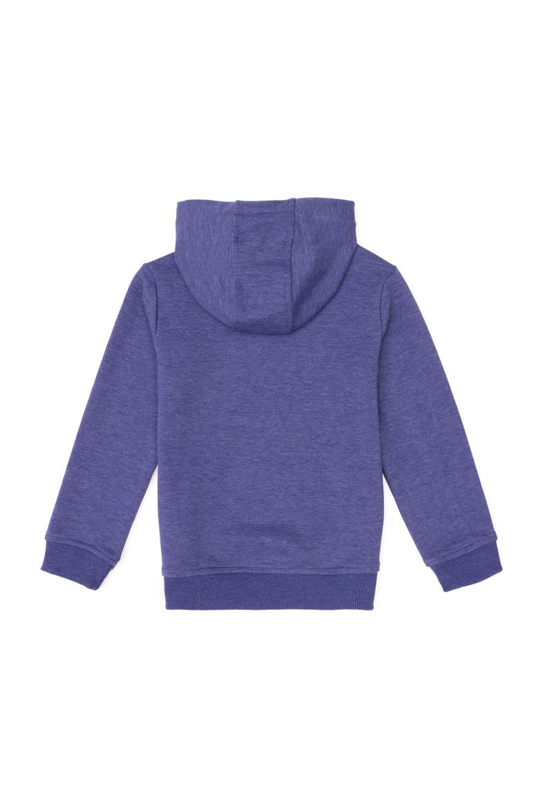 Erkek Çocuk Mor Basic Kapüşonlu Sweatshirt - 50293614040