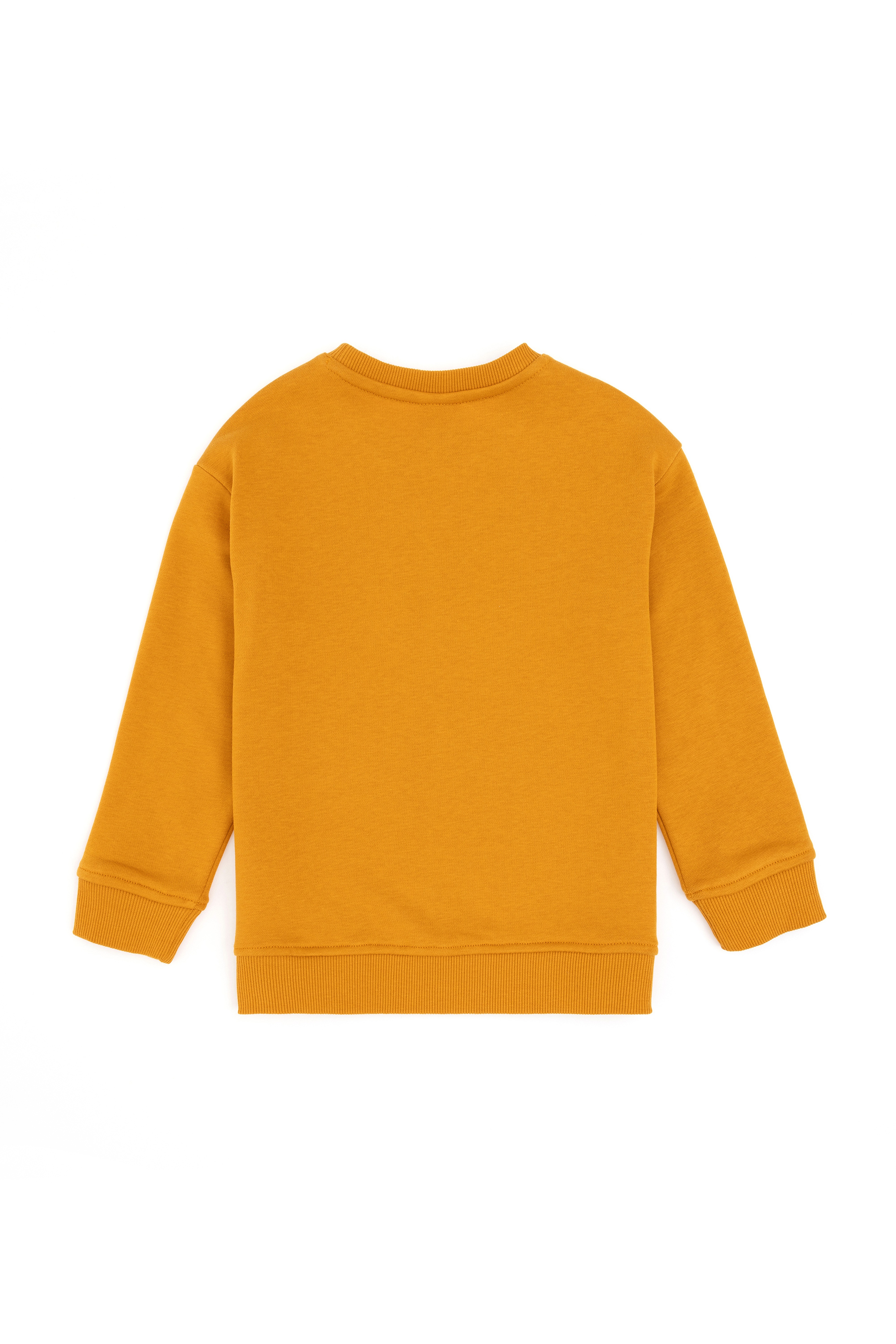 Erkek Çocuk Hardal Basic Bisiklet Yaka Sweatshirt - Image 4