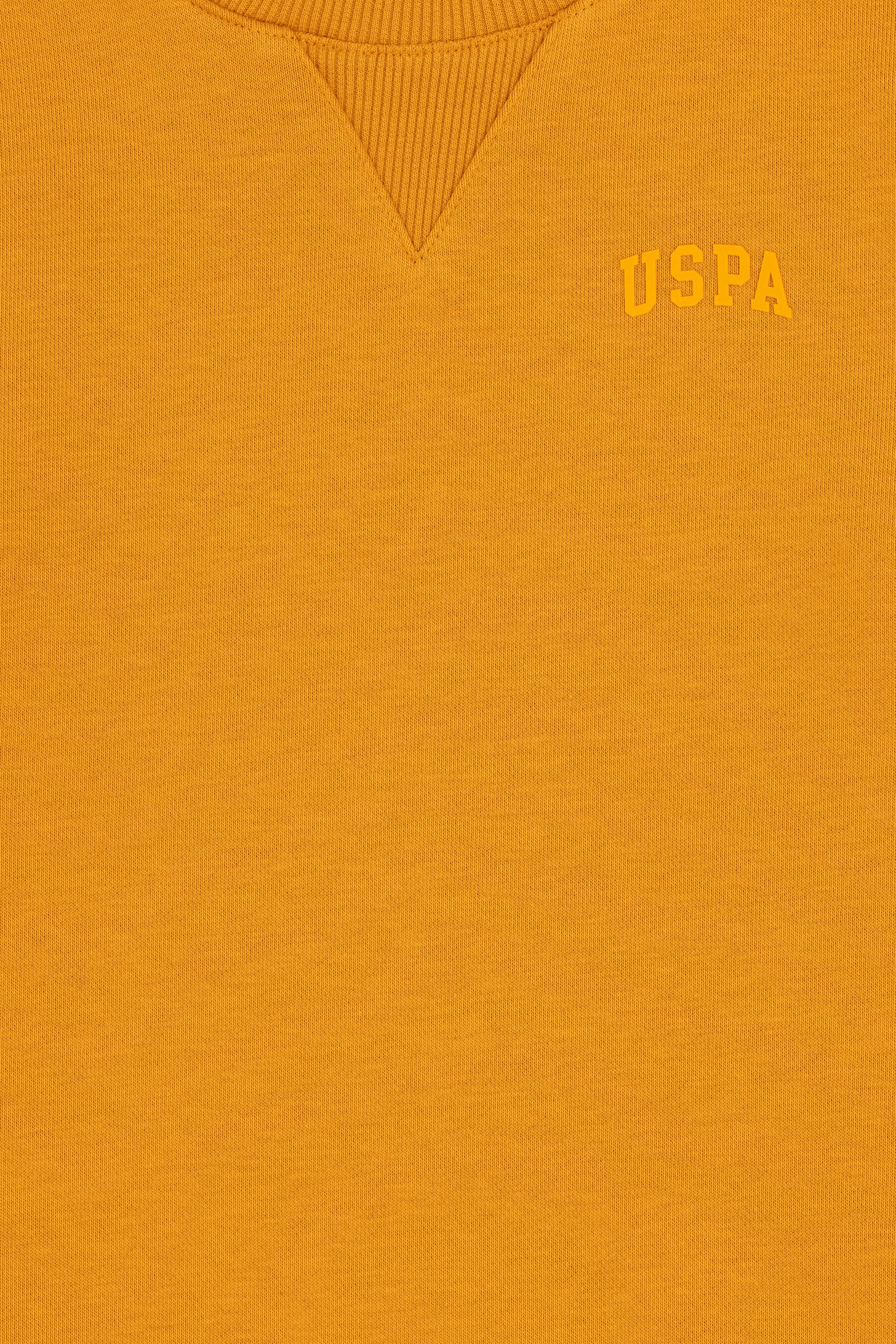 Erkek Çocuk Hardal Basic Bisiklet Yaka Sweatshirt - Image 5