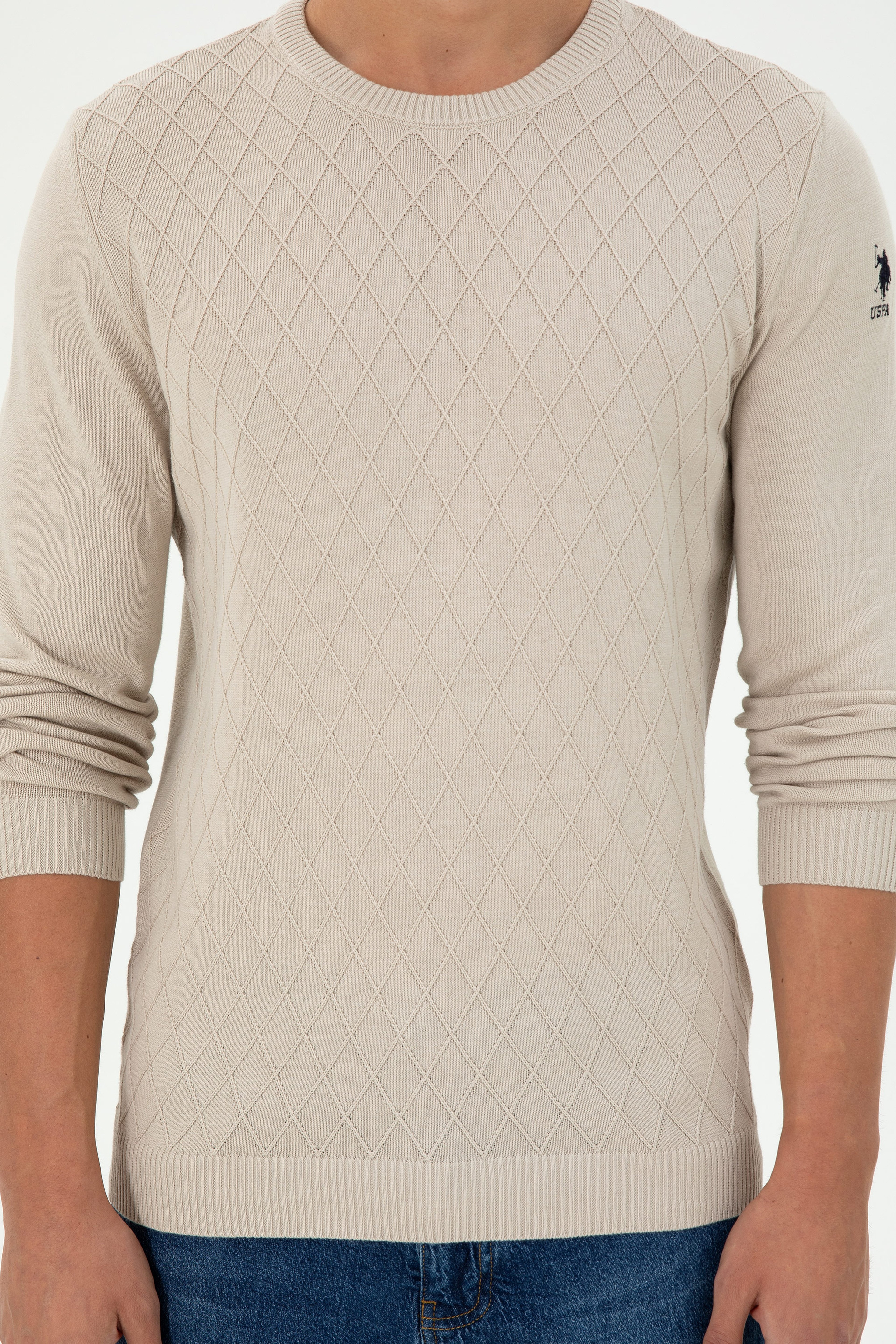 Erkek Slim Fit Bisiklet Yaka Taş Kazak - Image 6