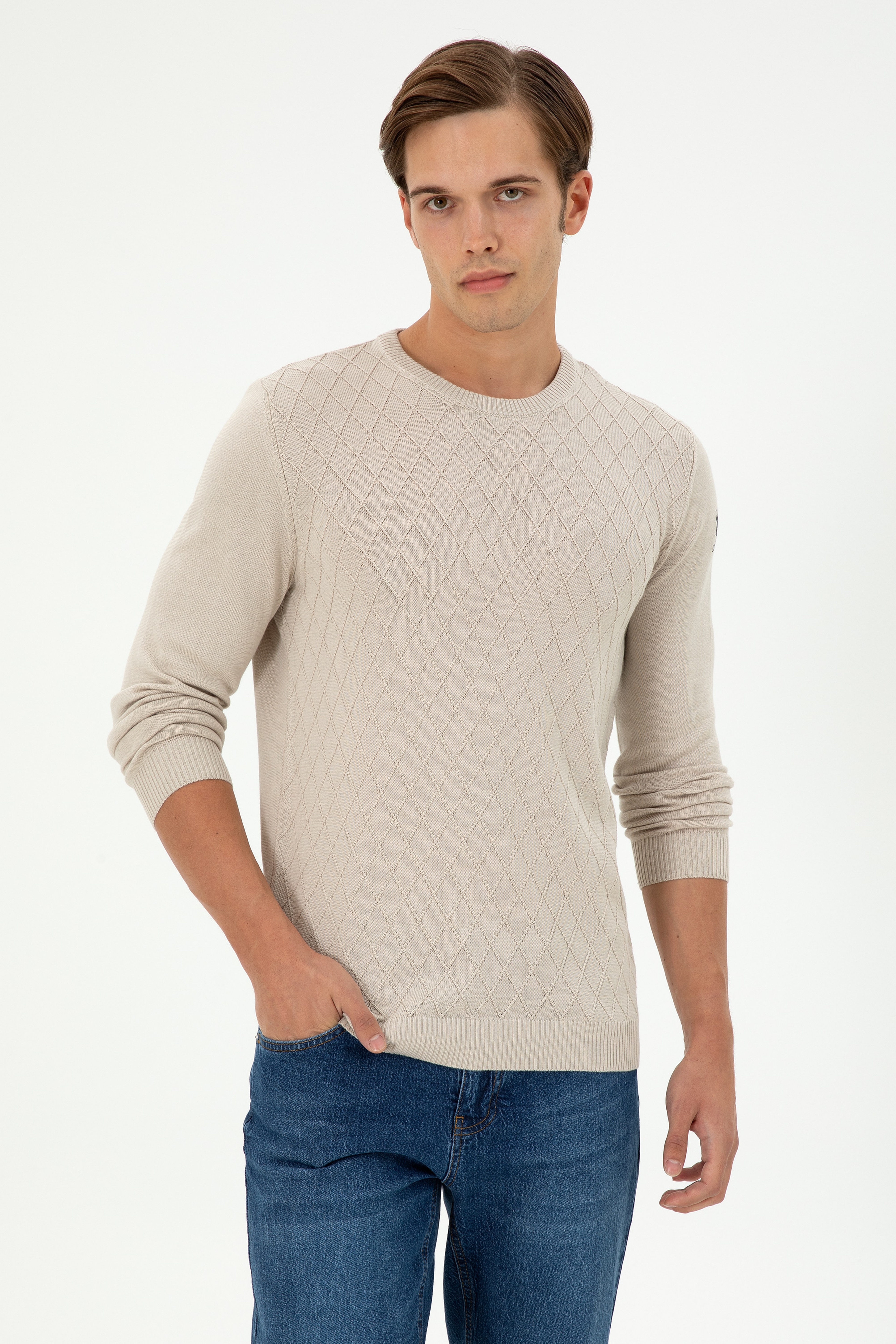 Erkek Slim Fit Bisiklet Yaka Taş Kazak - Image 1